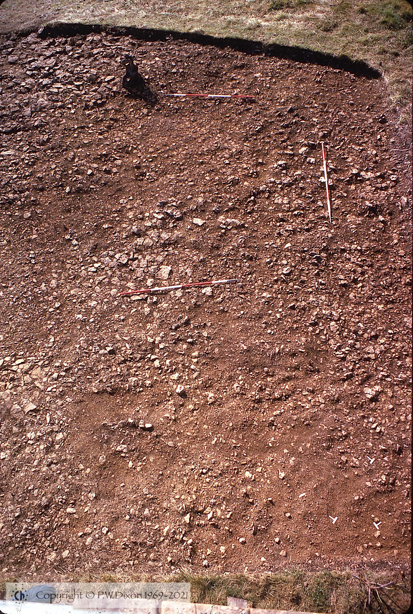 C74126