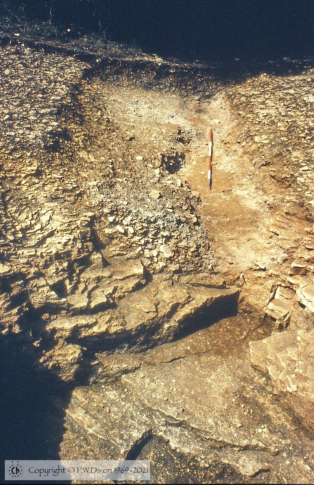 C75214