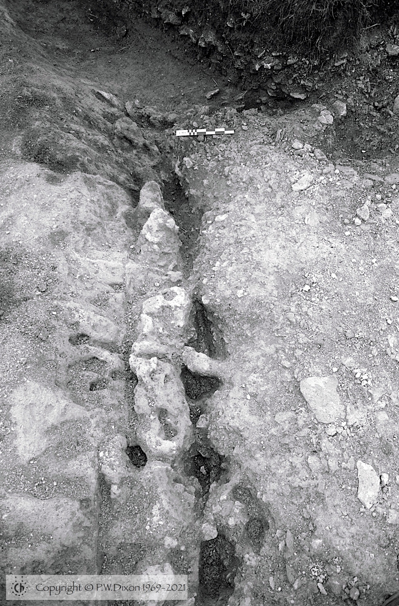 B80291