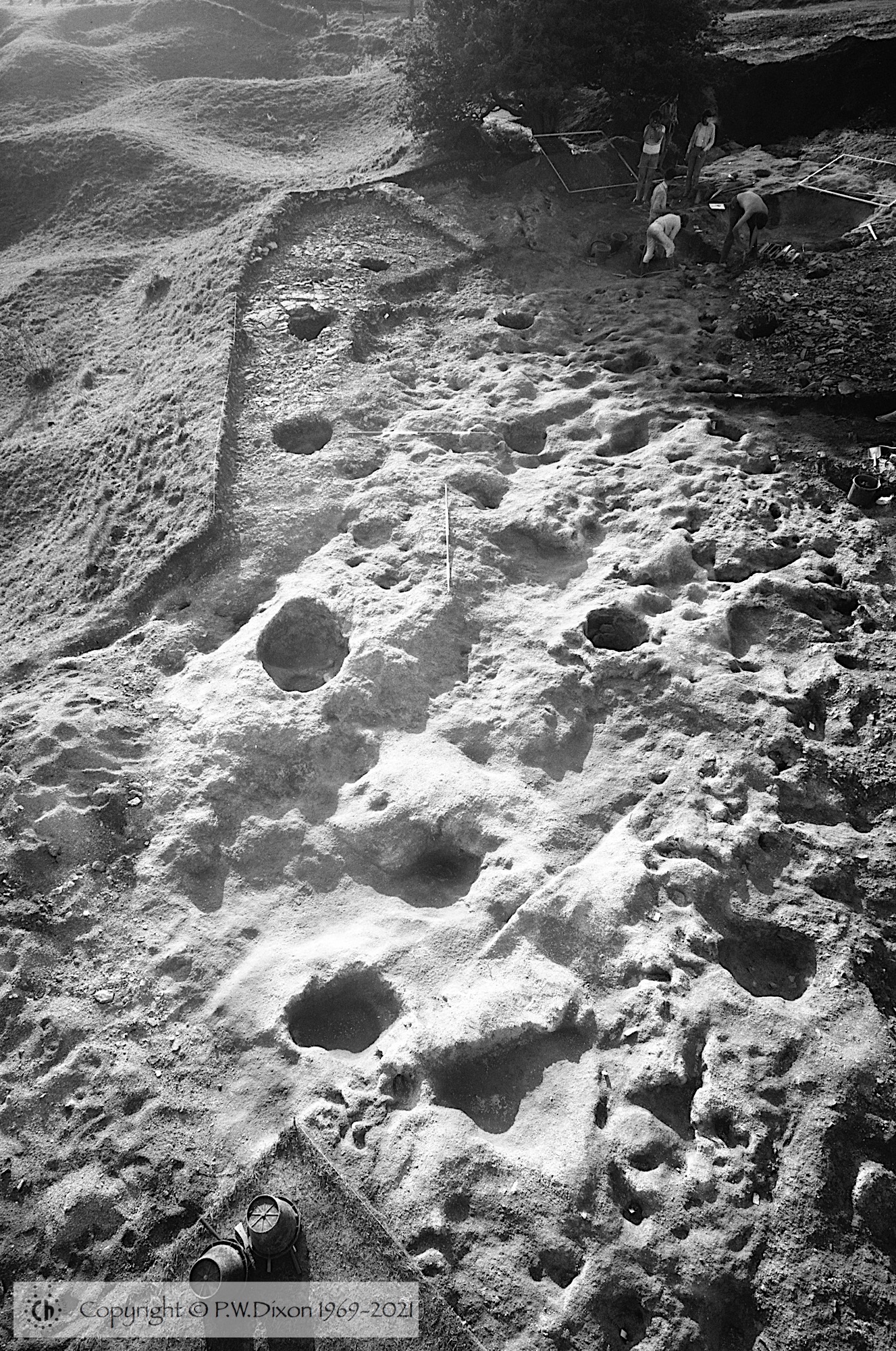 B80237