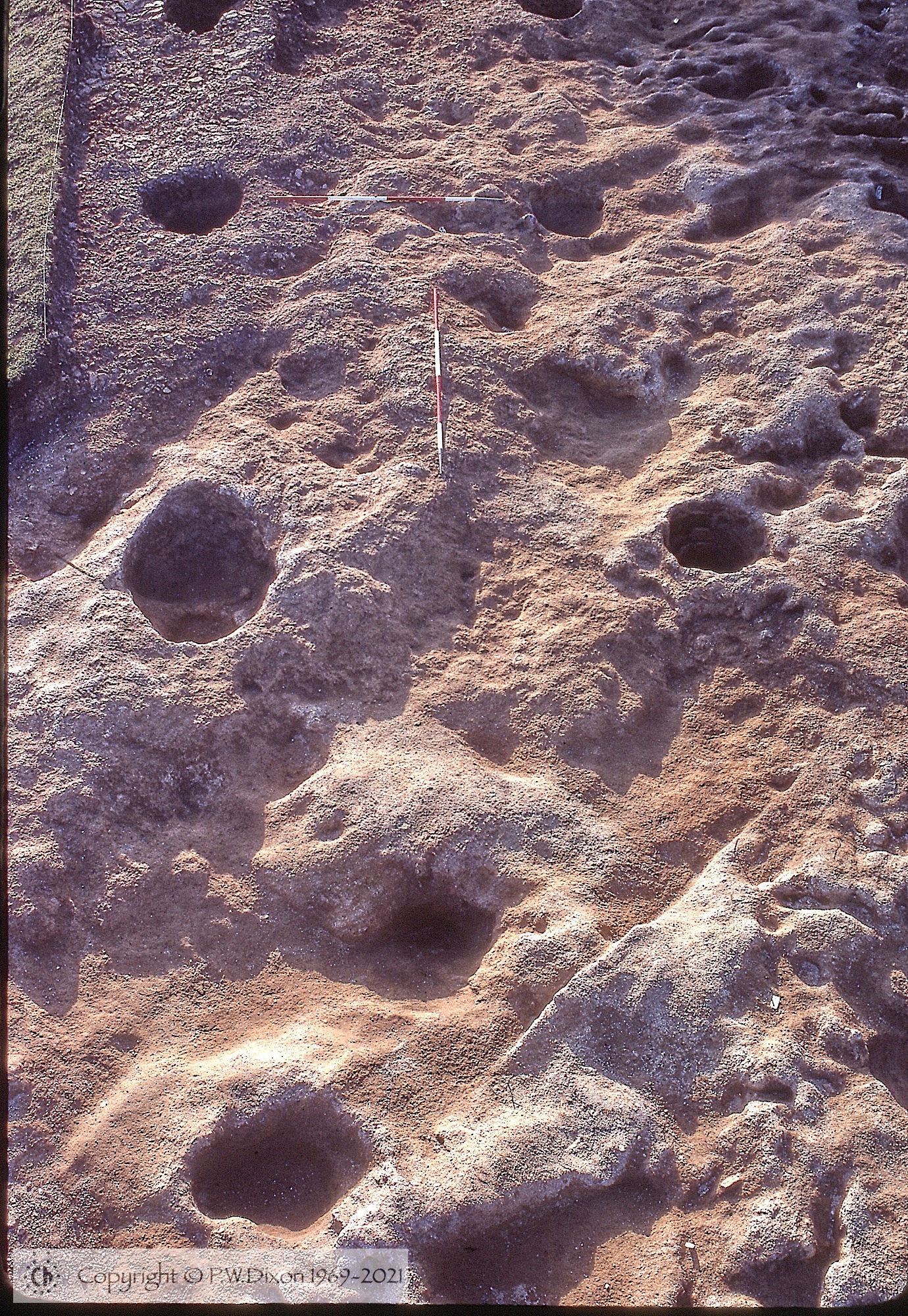 C80113