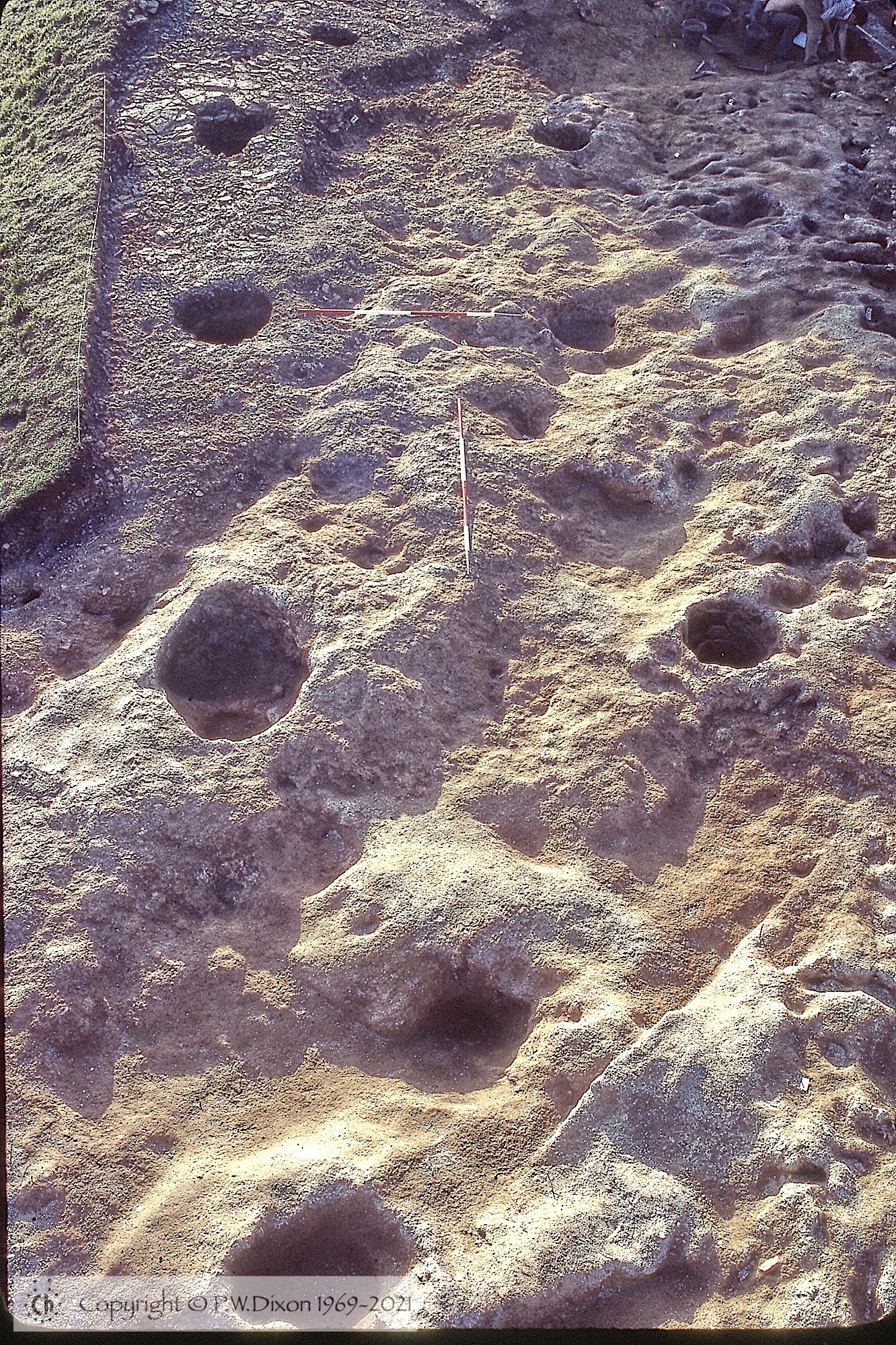 C80117