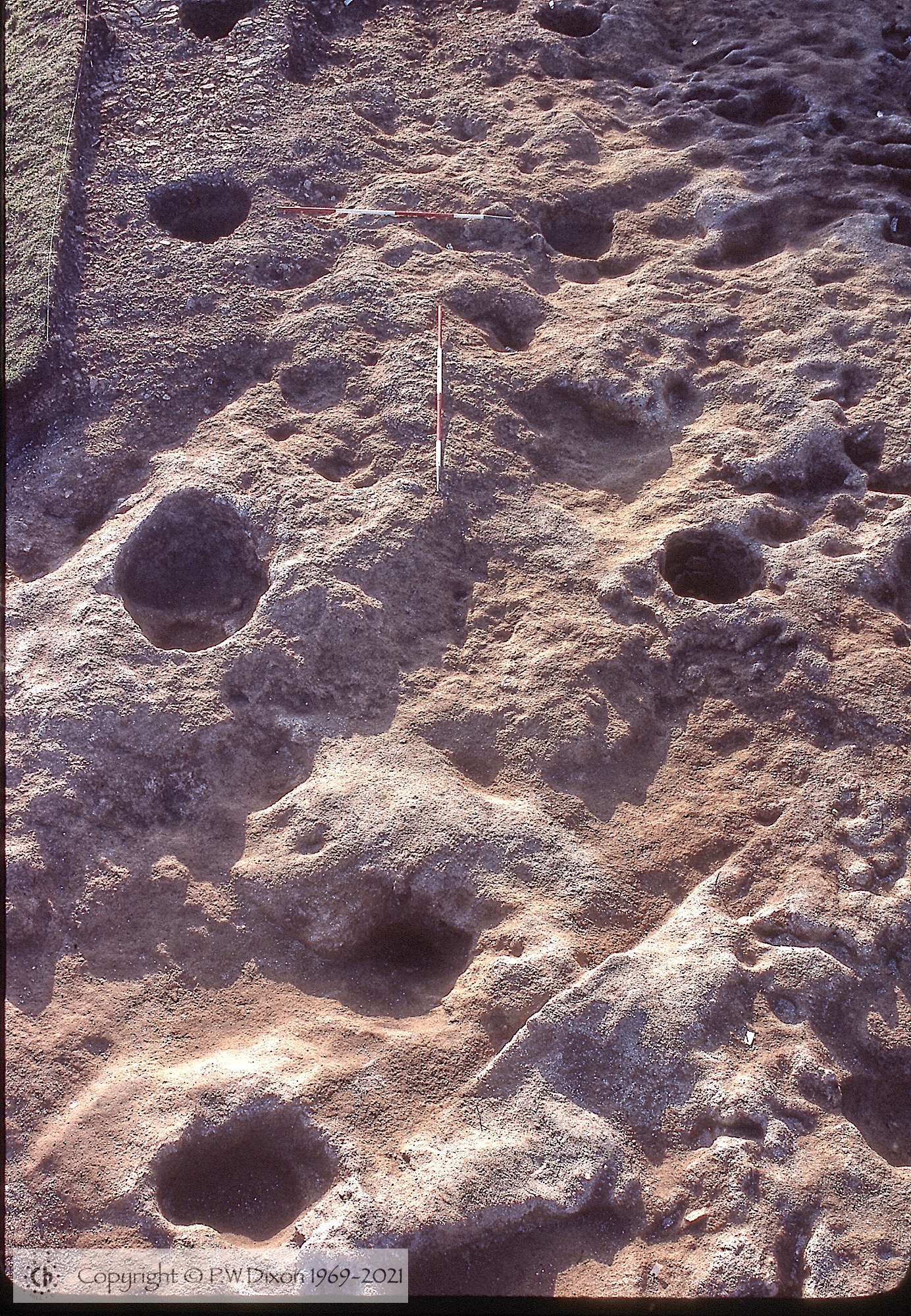 C80121