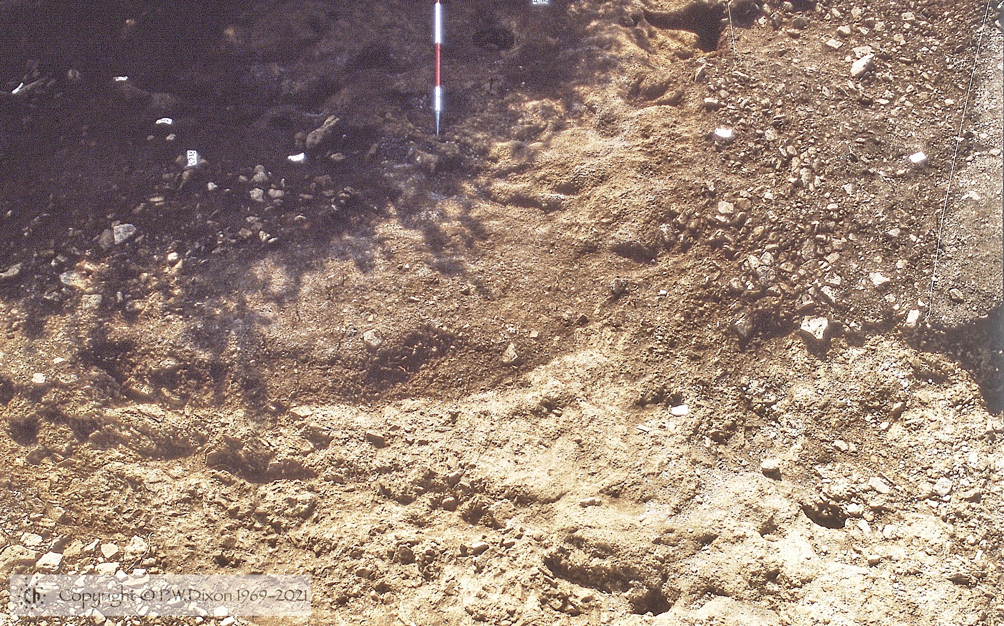 C80132