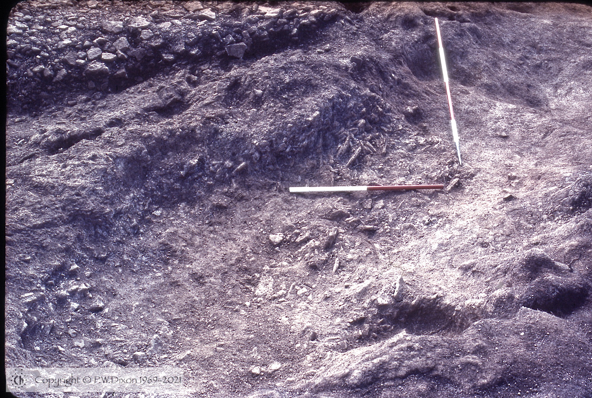 C80137
