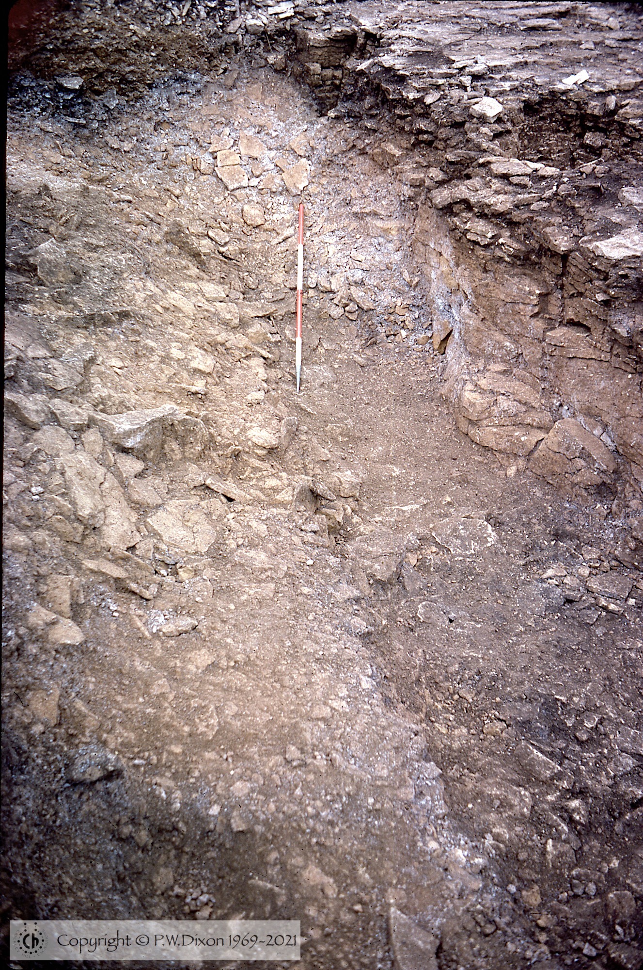 C77124