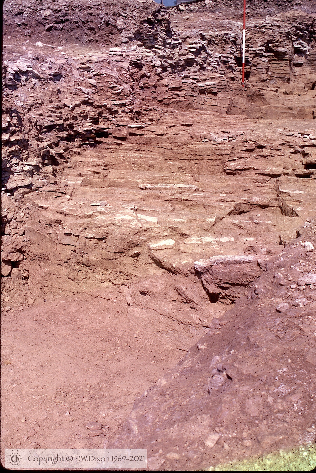 C78297