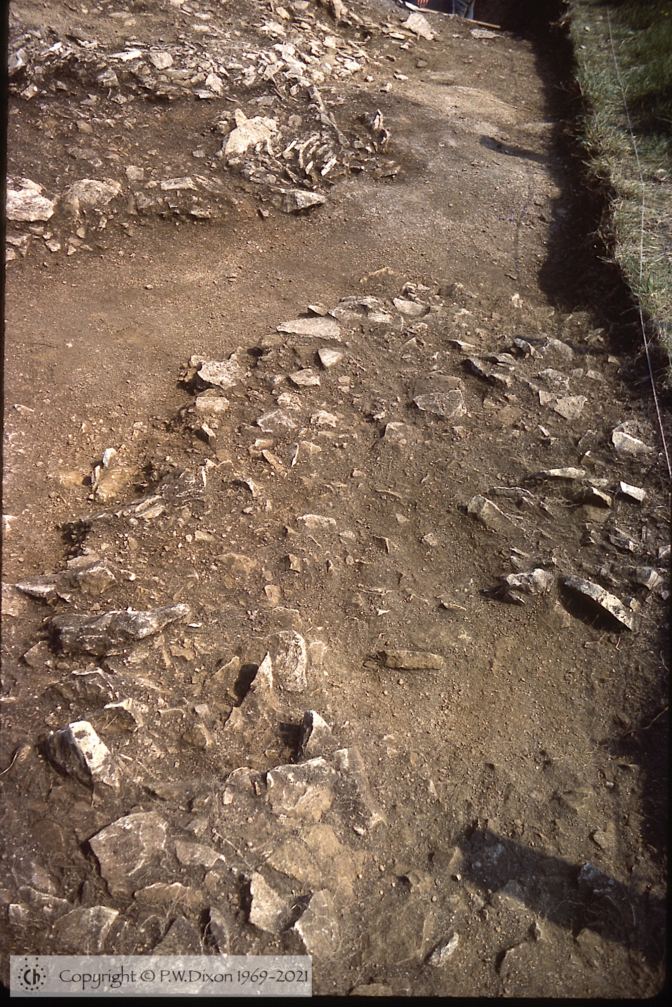 C77119