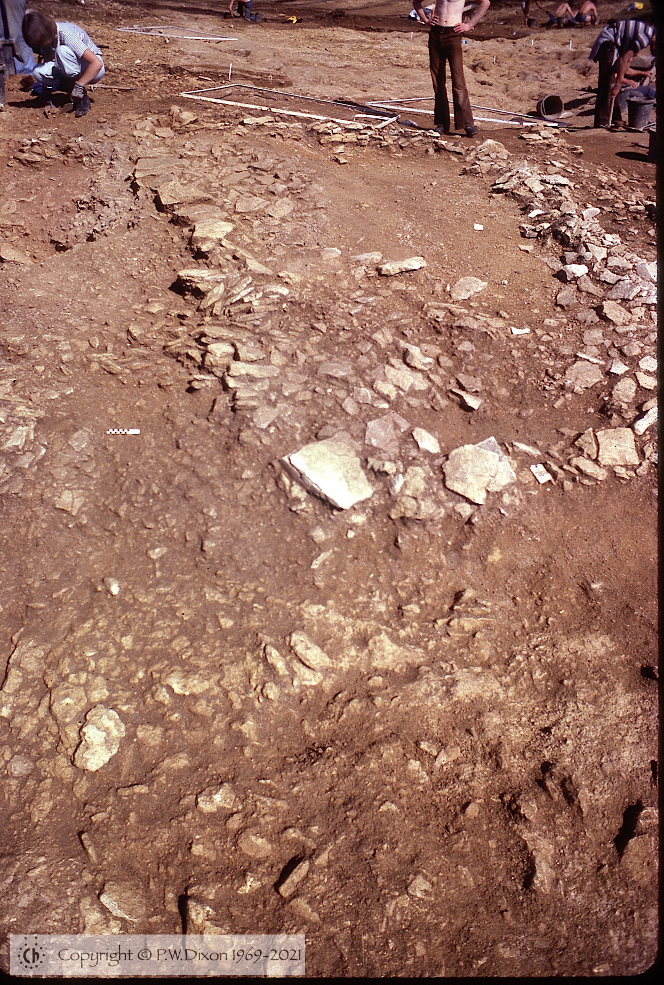 C78233