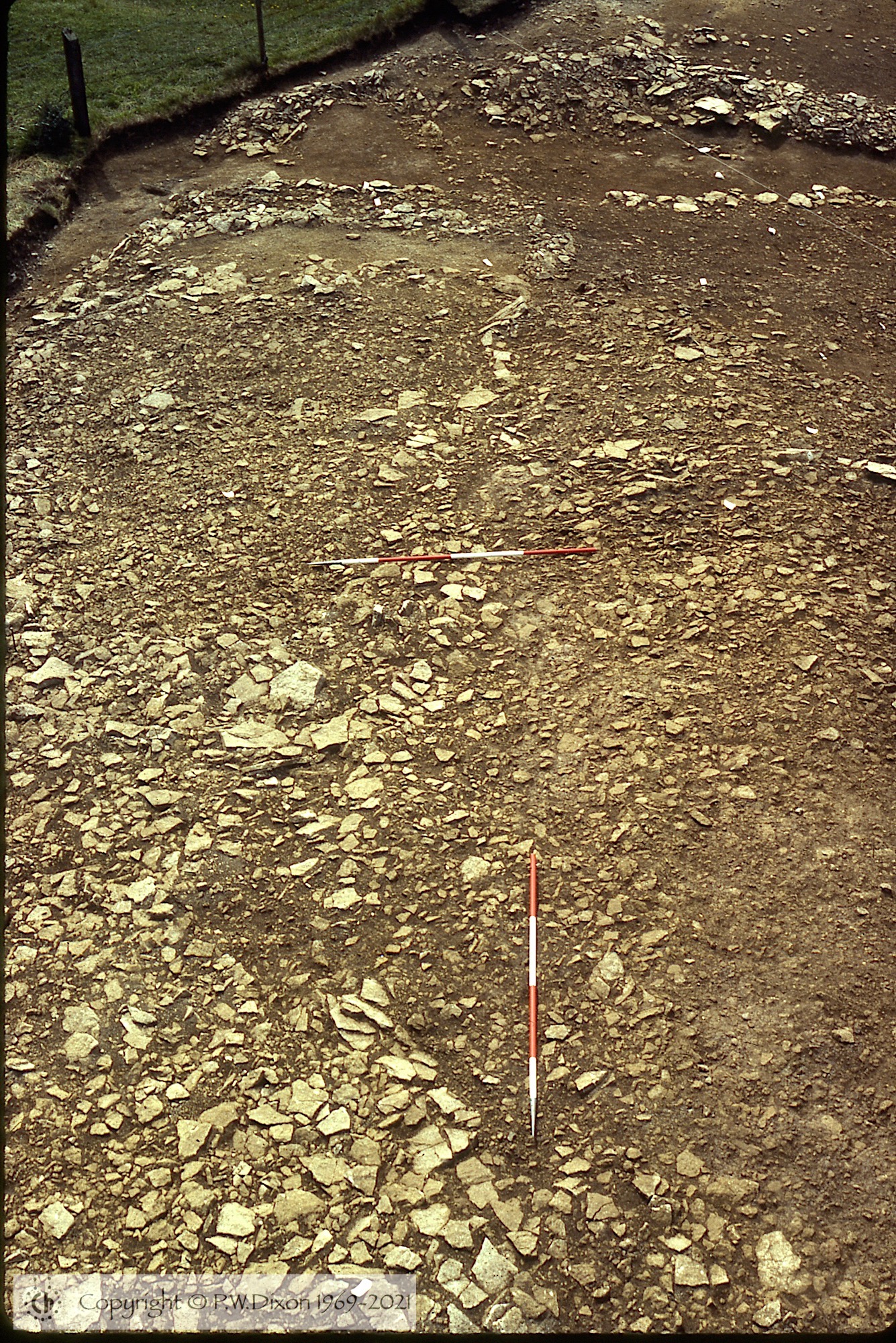 C78301