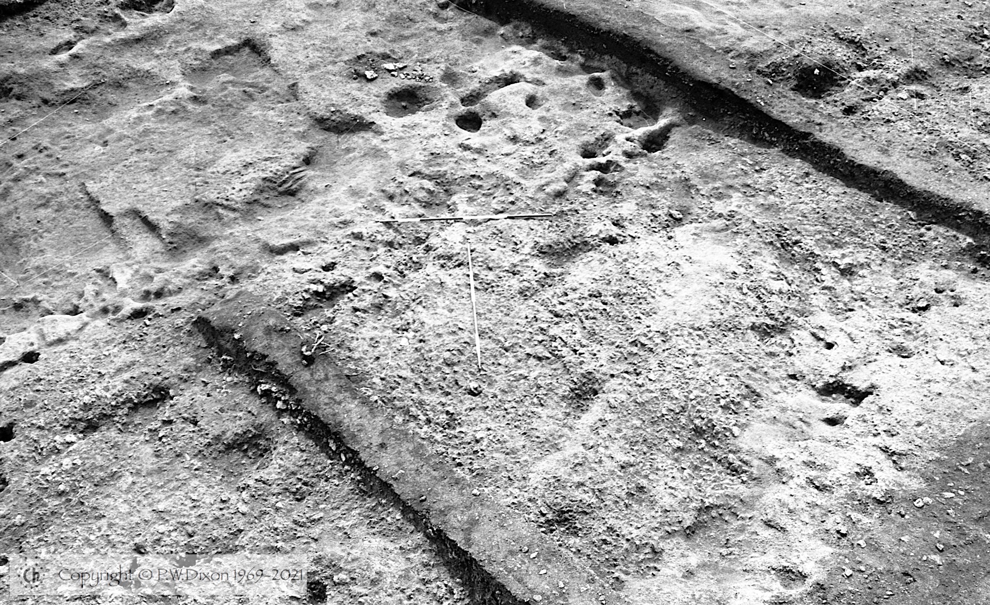B80241