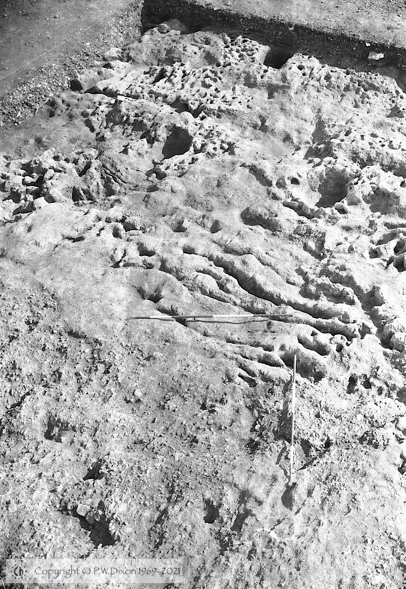B81141