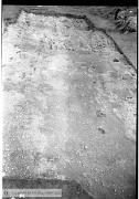 B80271