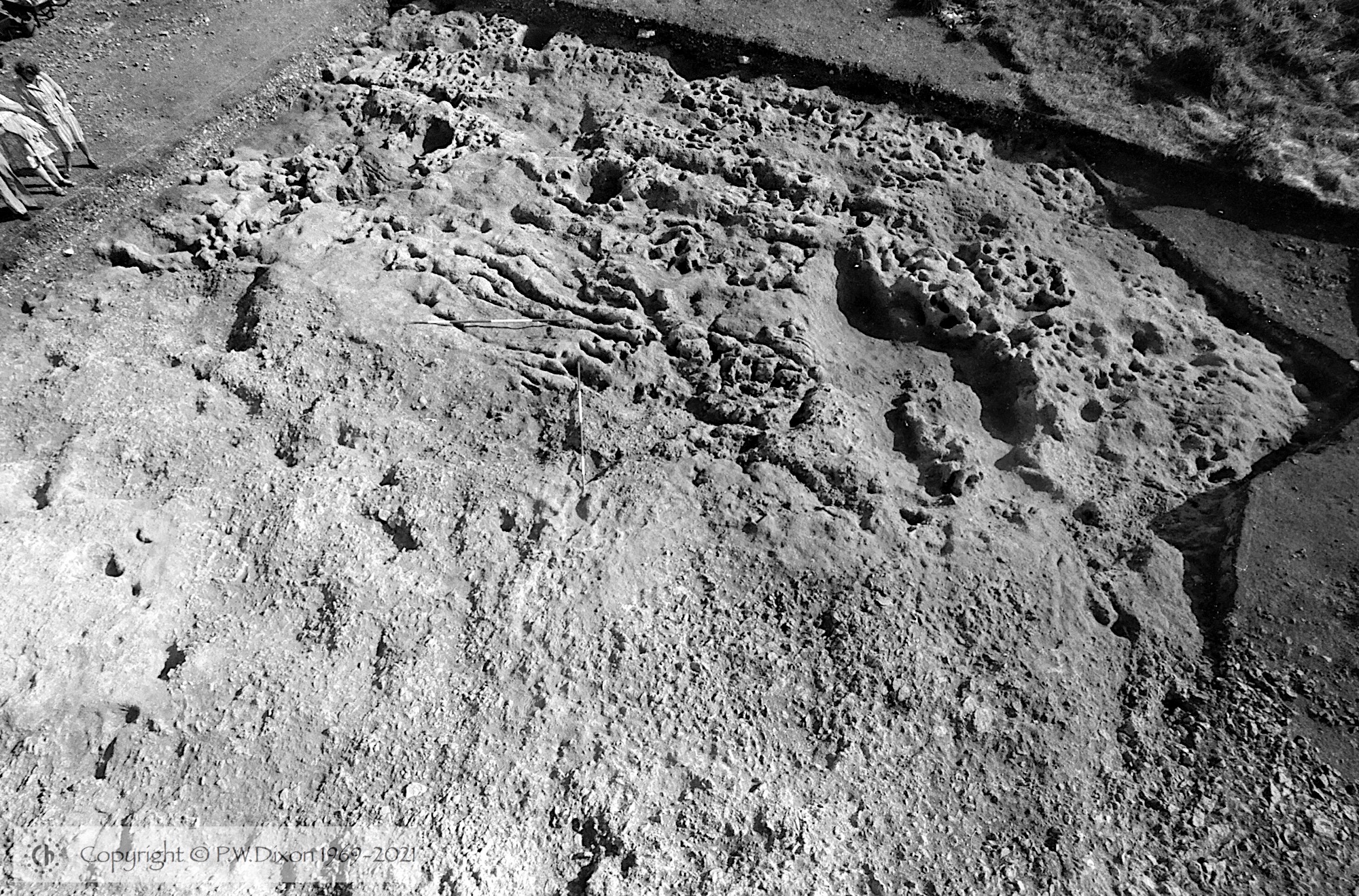 B81154
