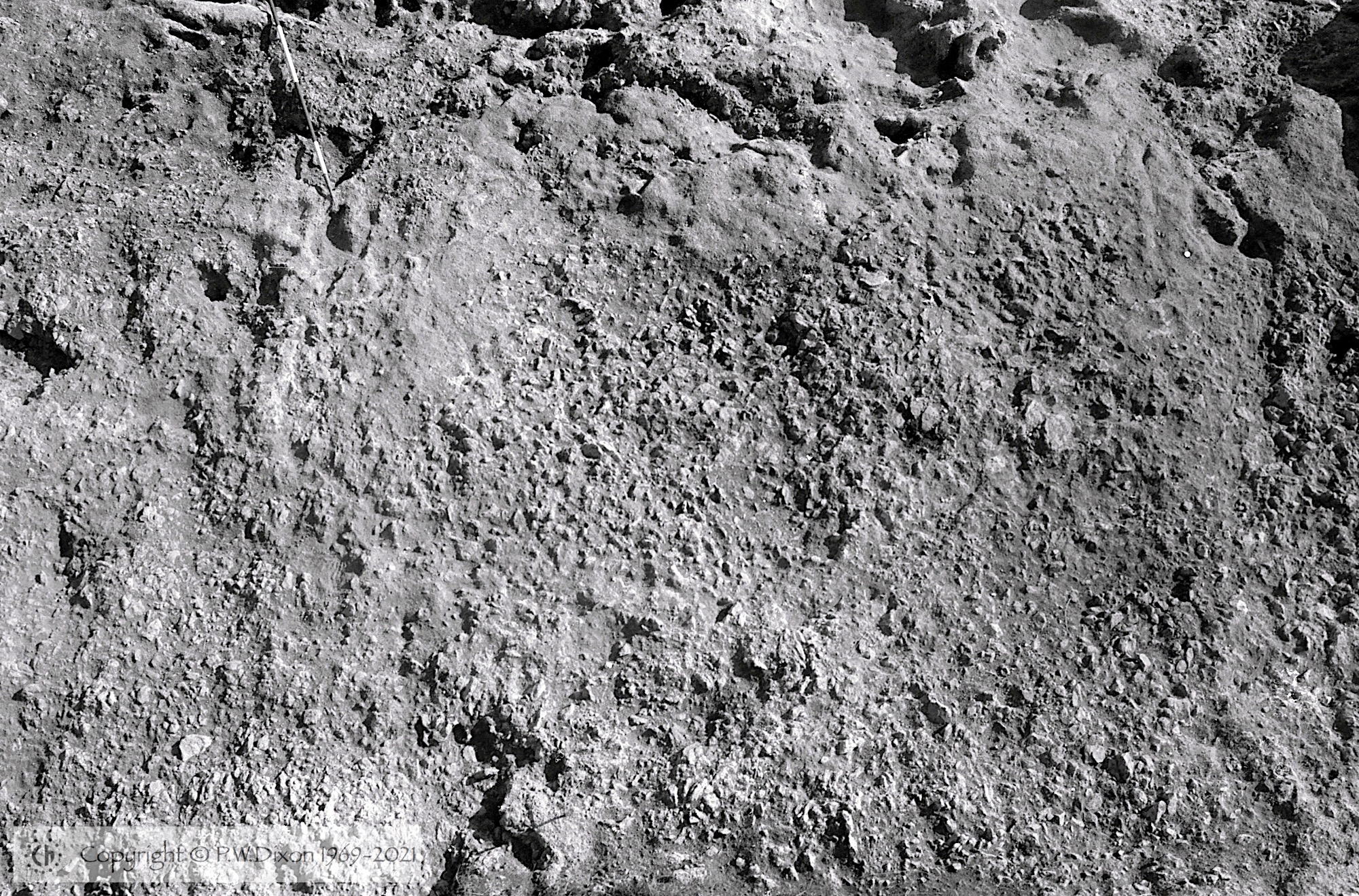 B81157
