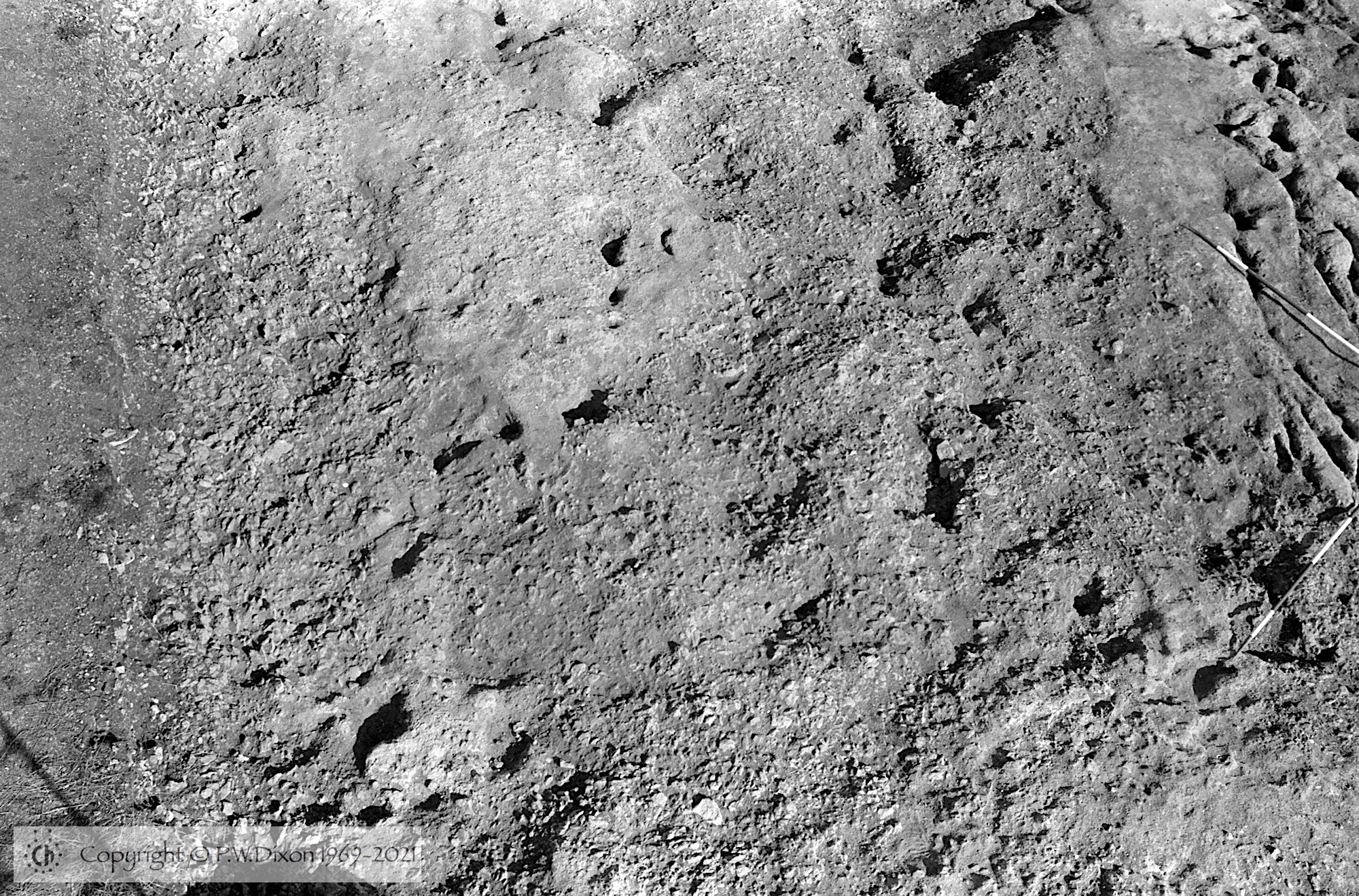 B81160