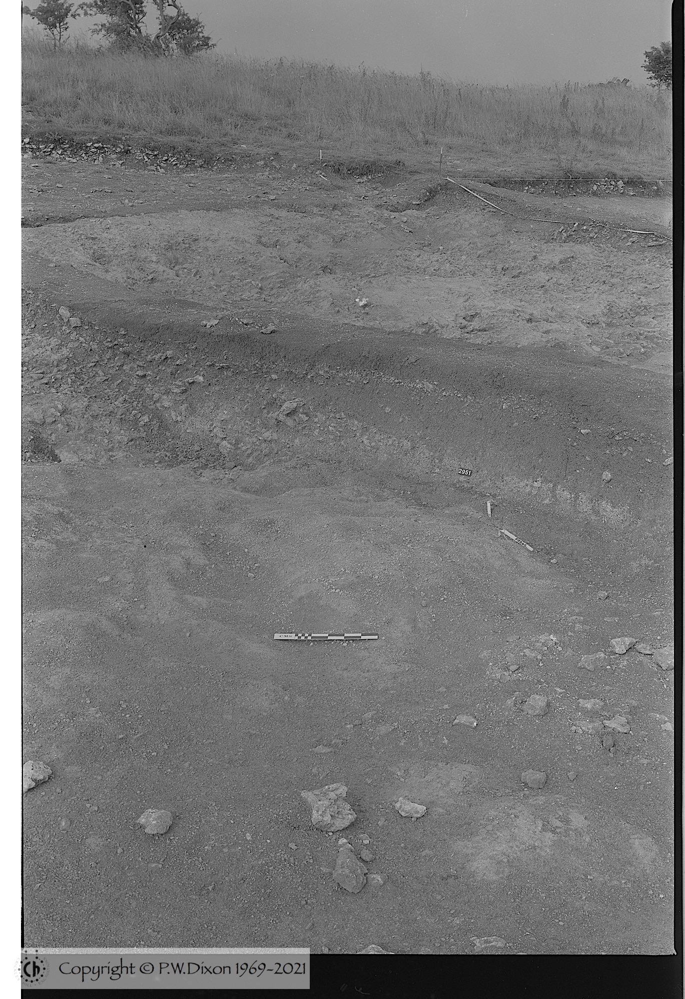 B80277