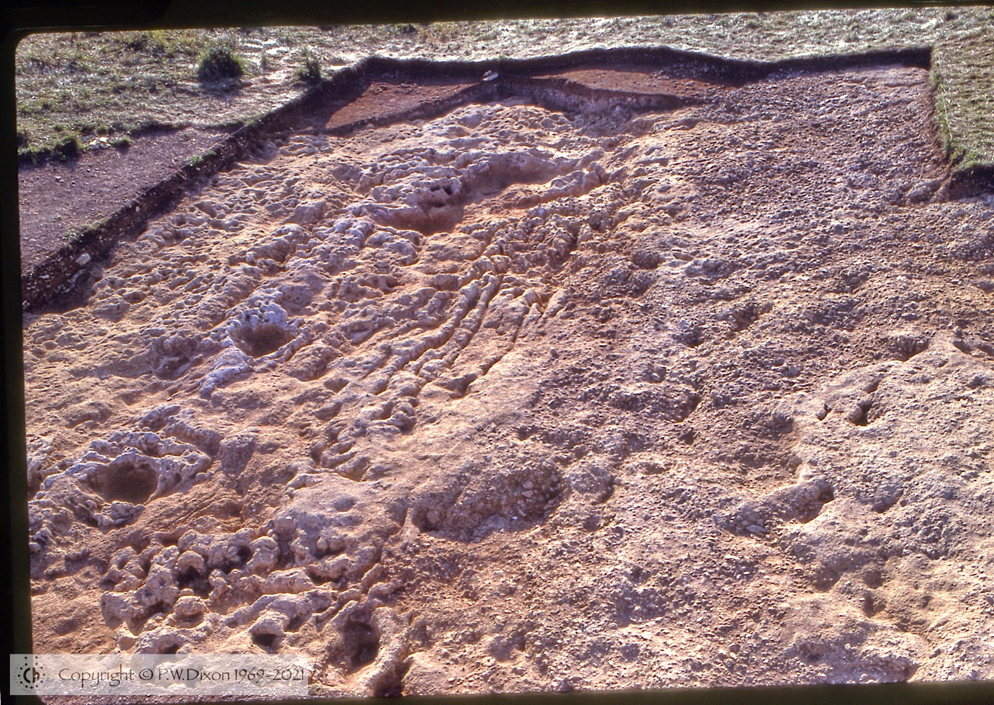 C81218