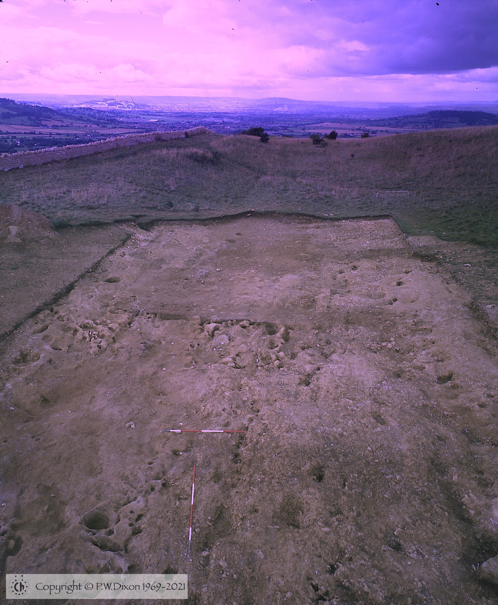 C81236