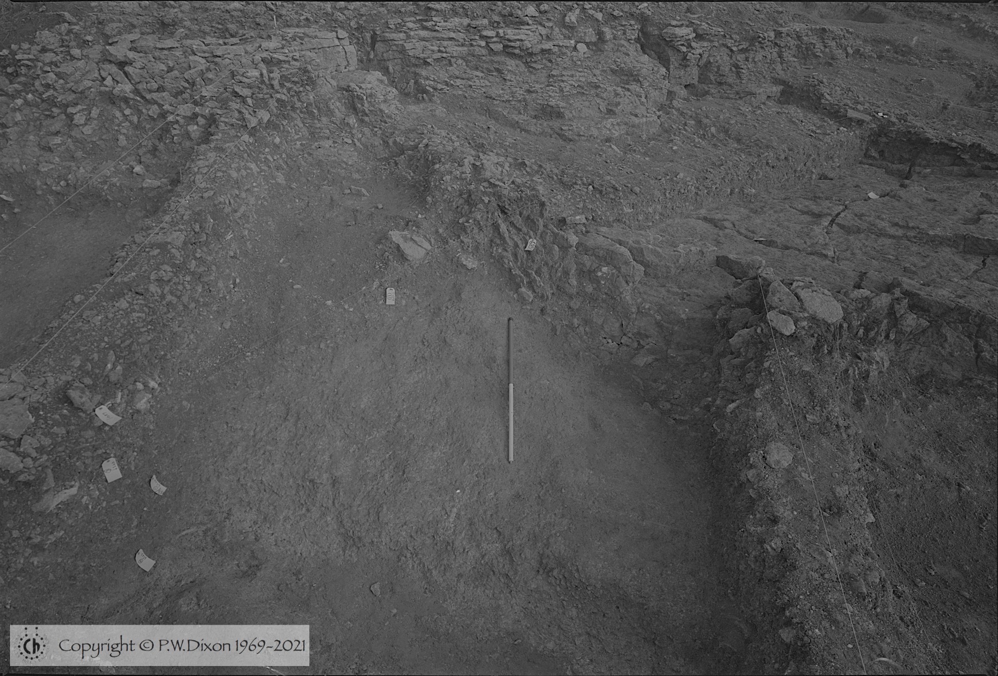 B85153