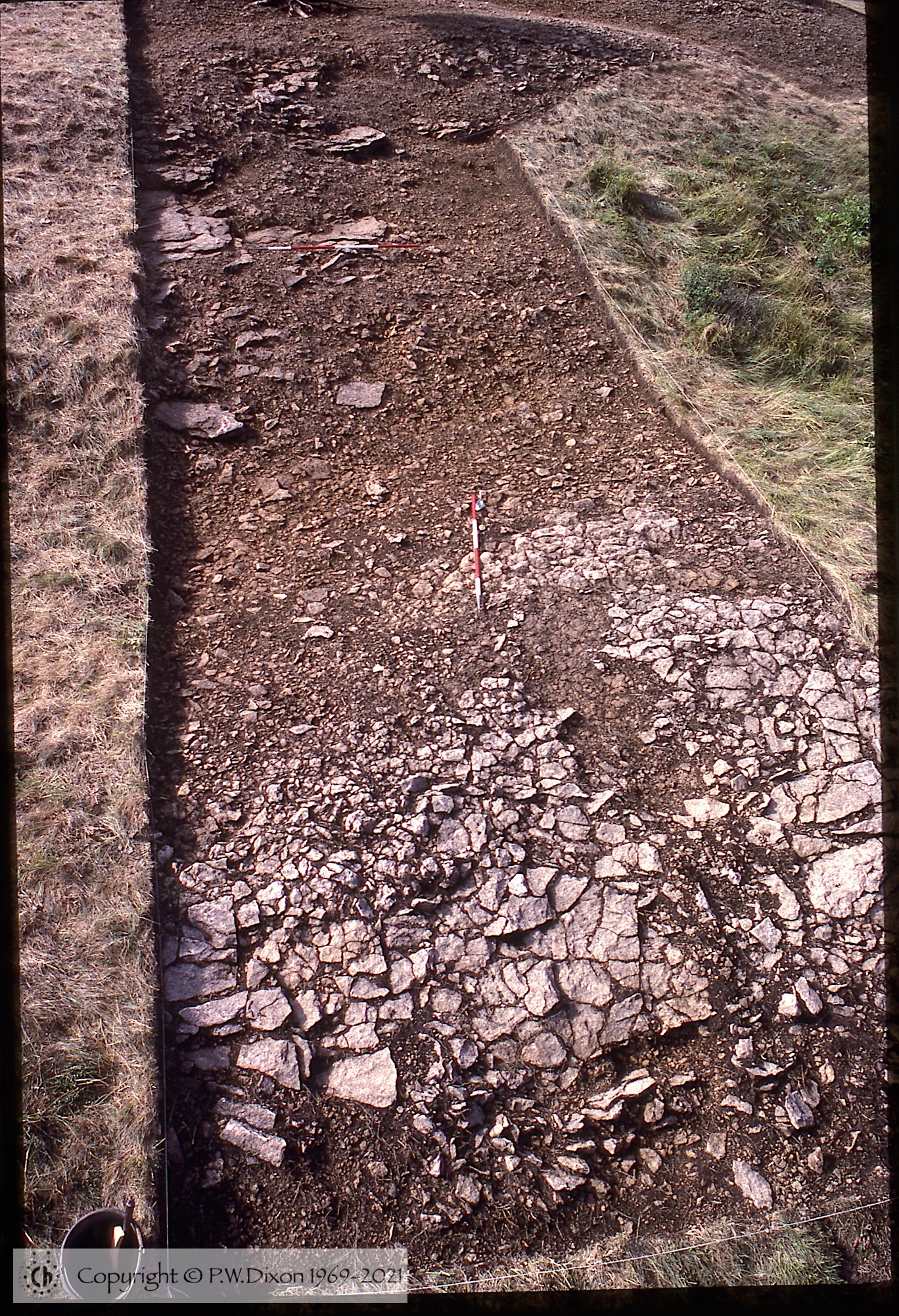 C84139