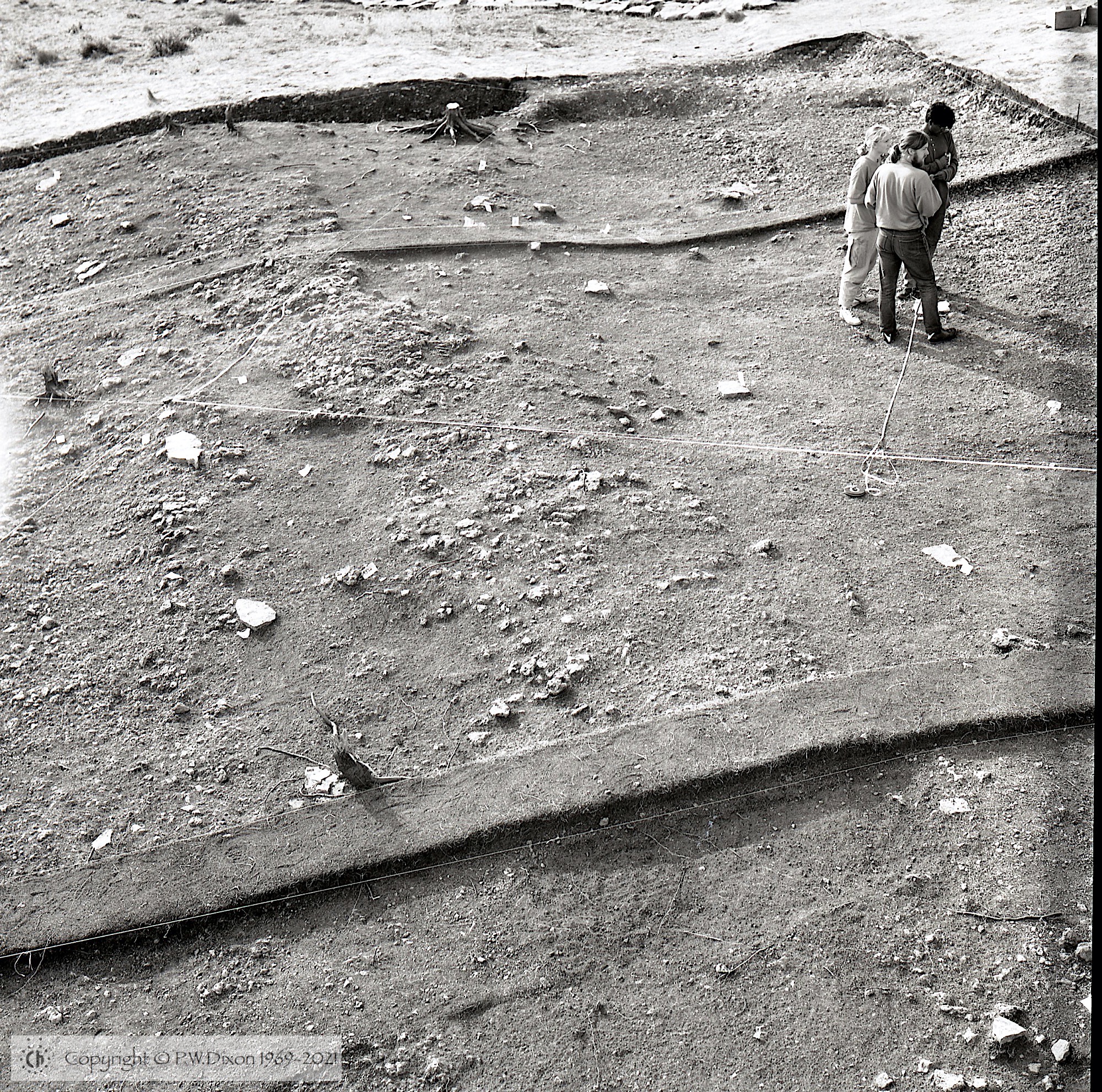 B90242