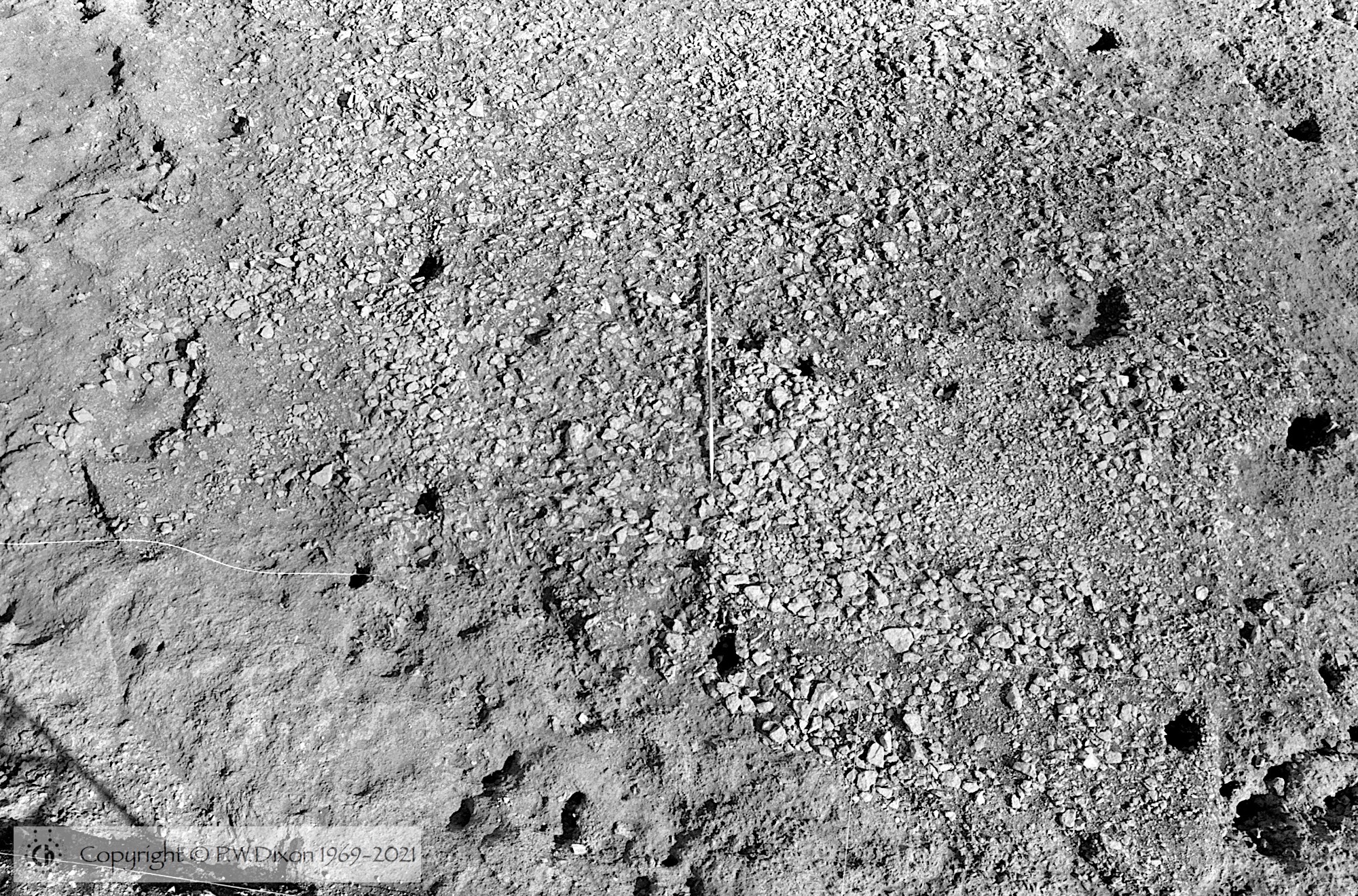 B85219