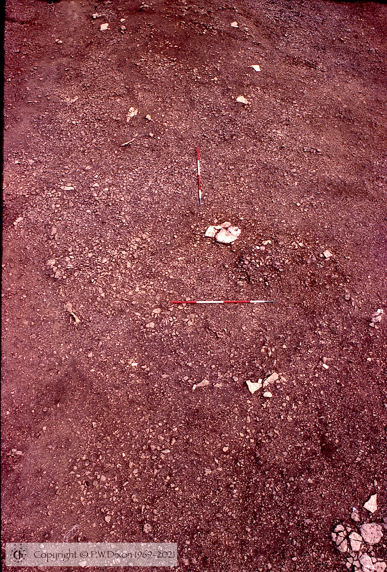 C83223