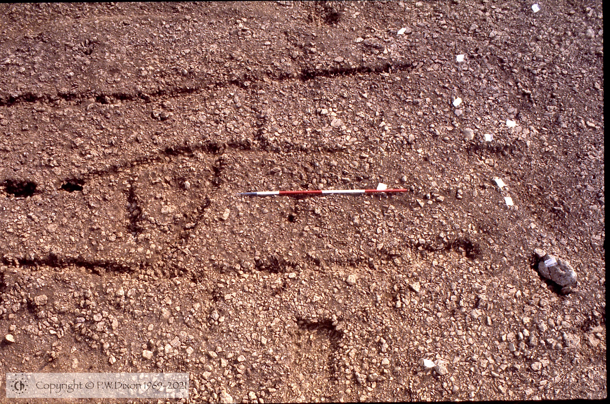 C83248