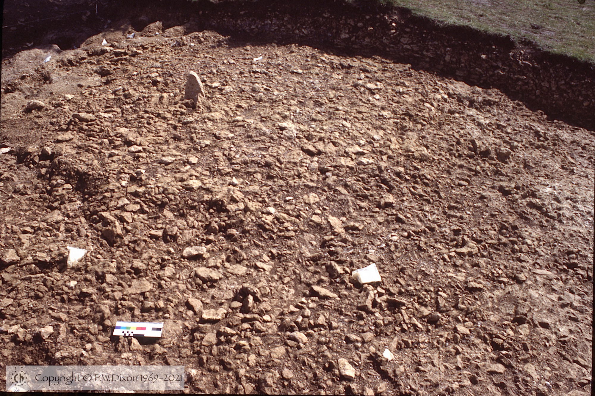 C85197