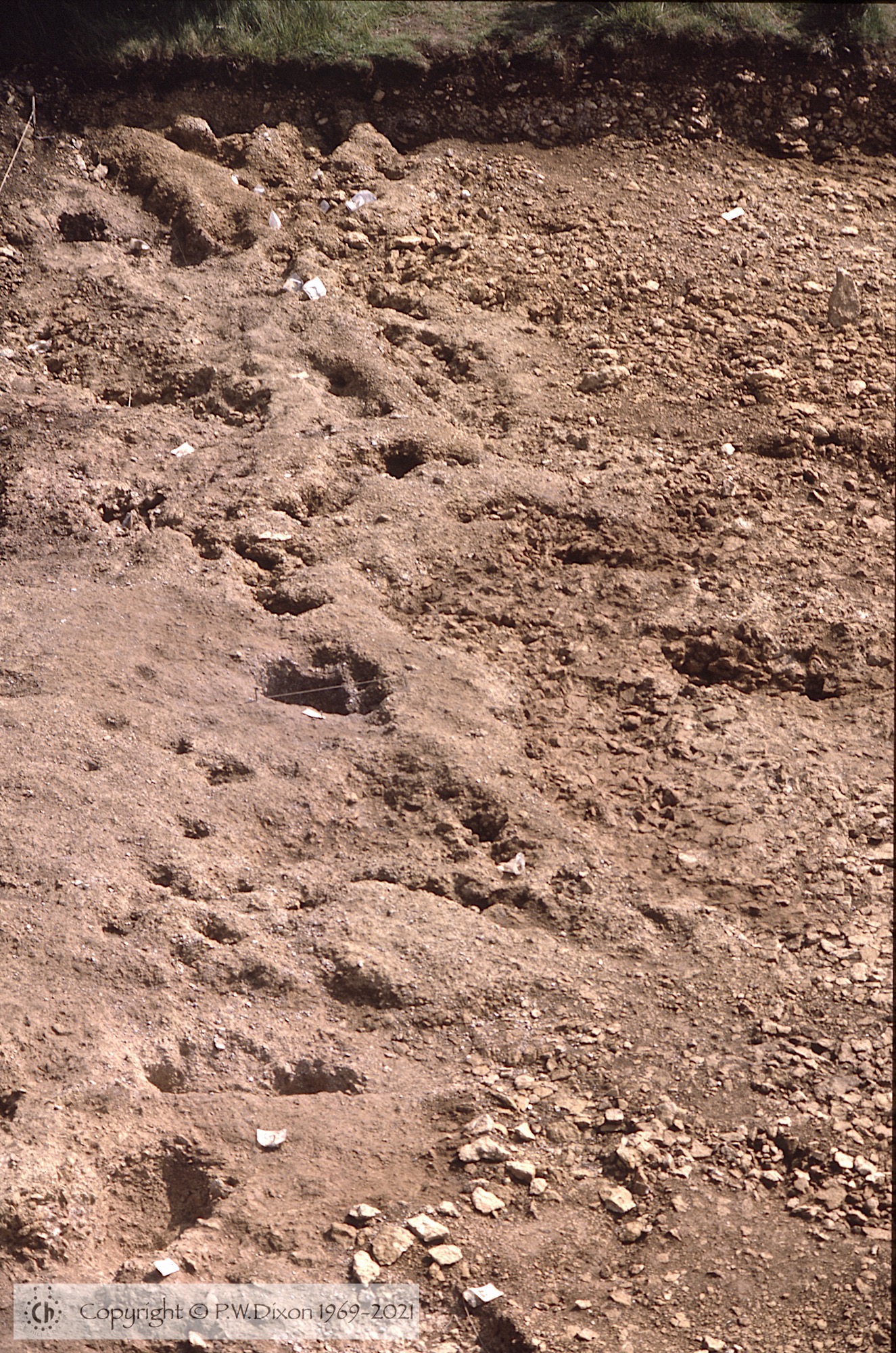 C85244