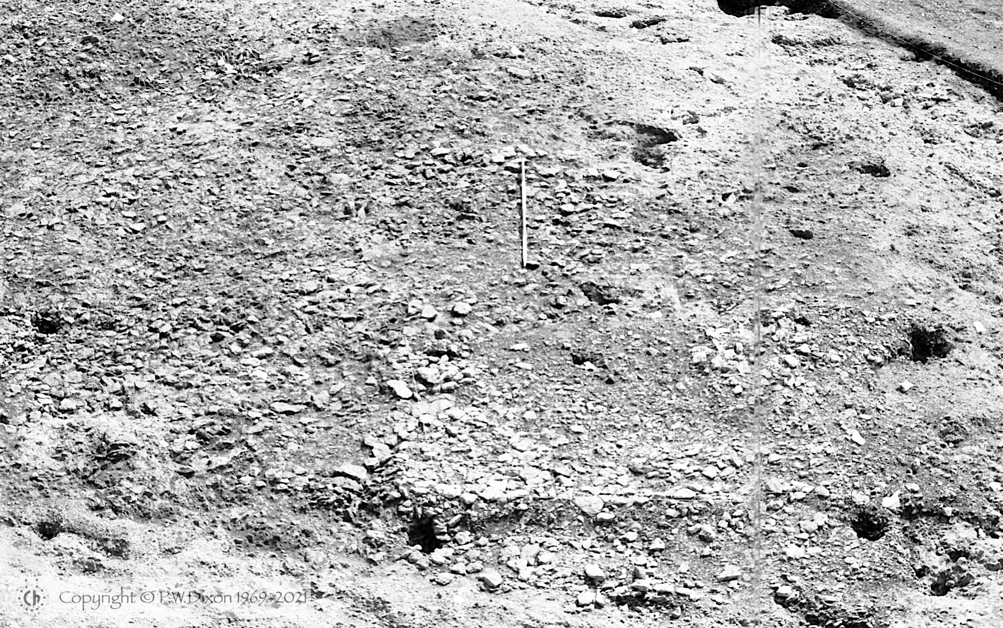 B85194