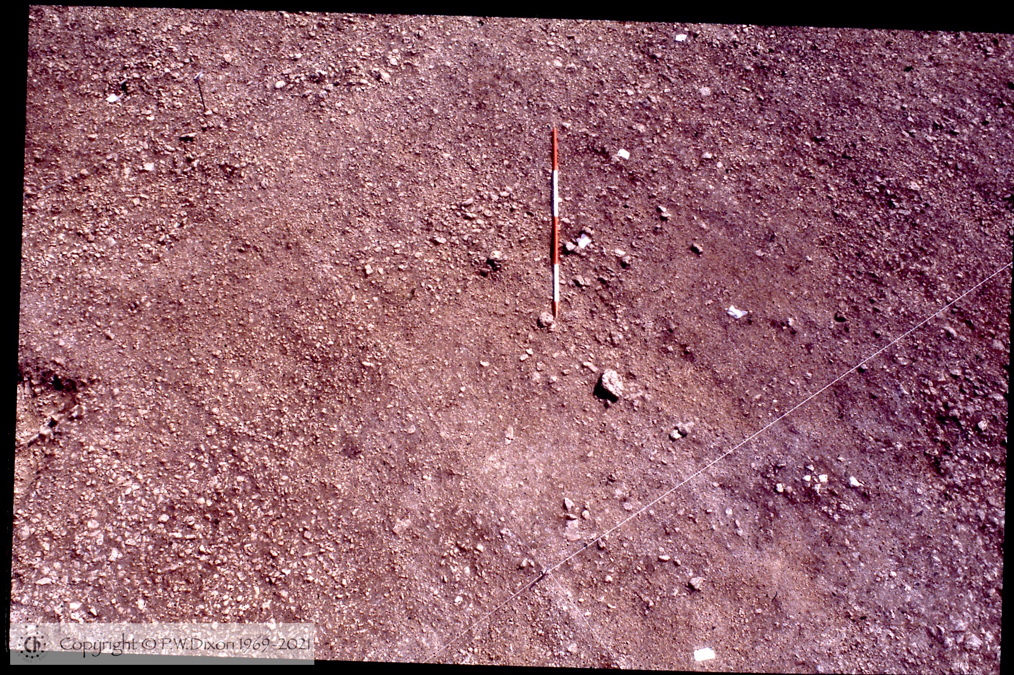 C83203