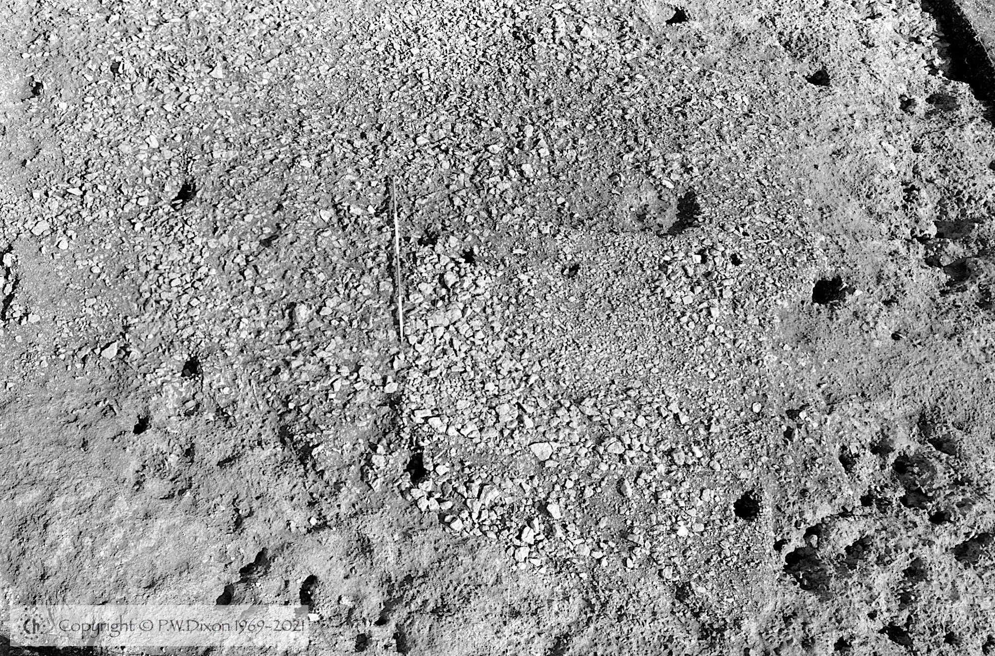 B85216