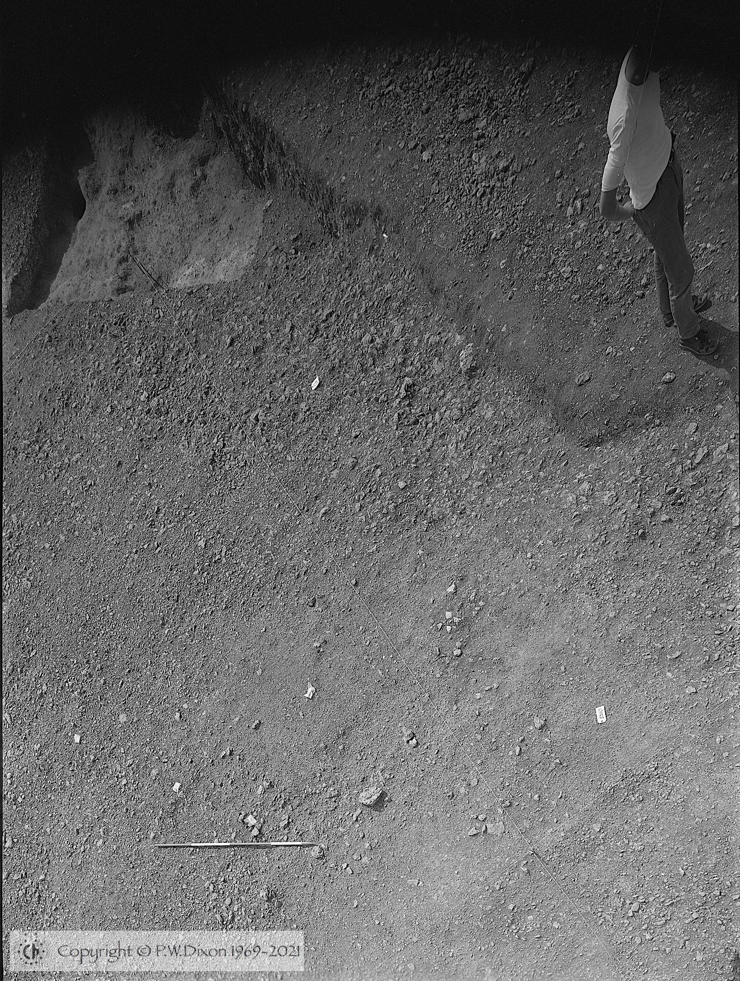 B83113