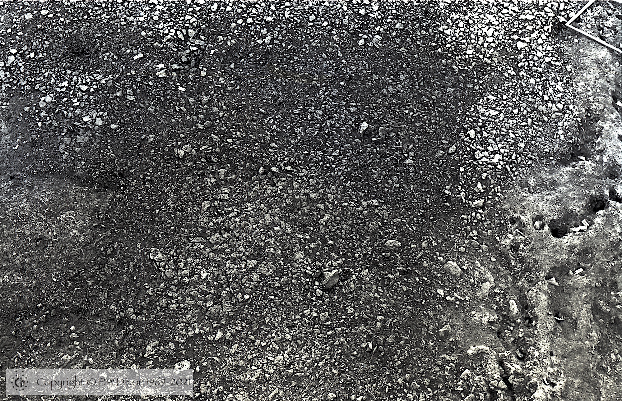 B84292