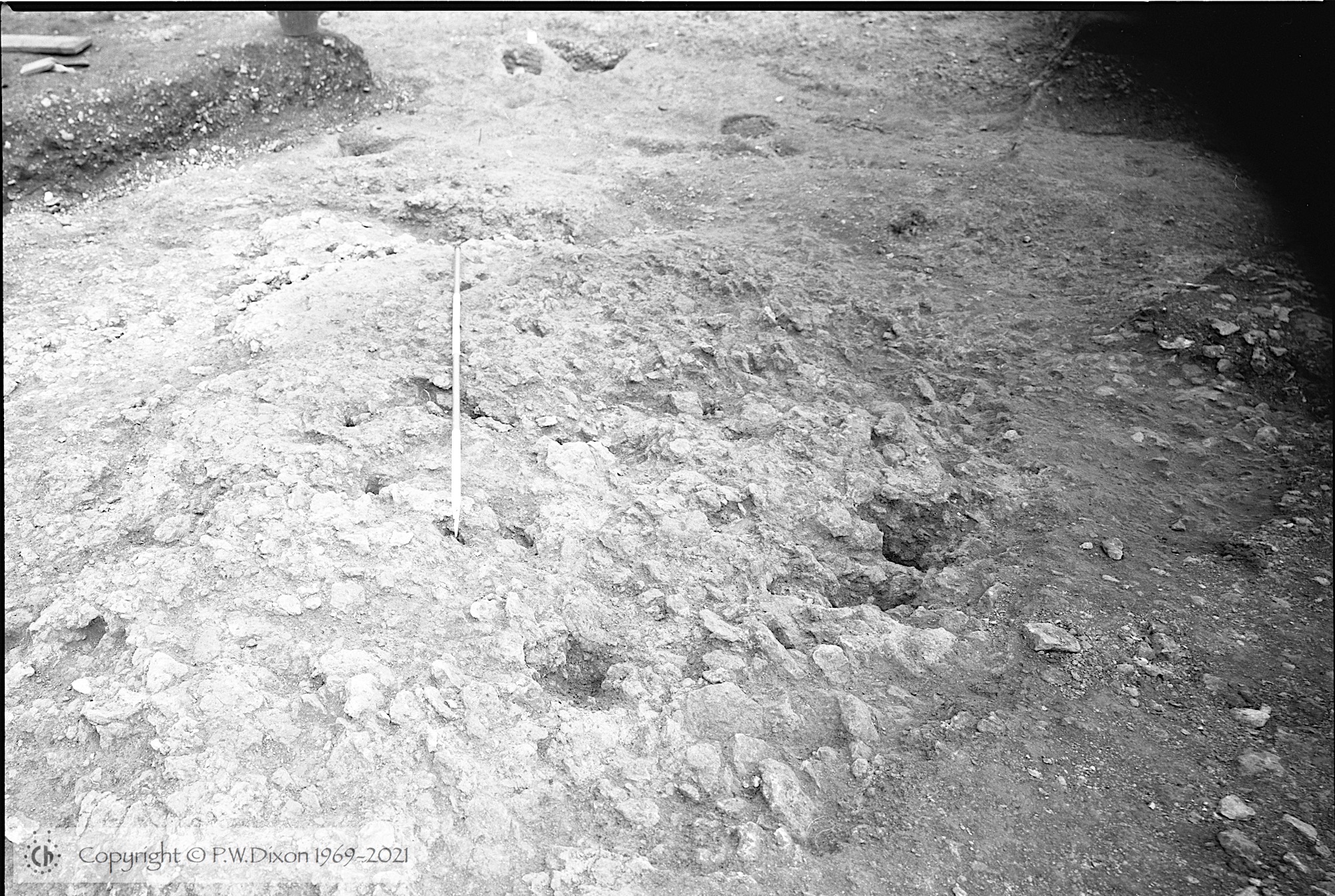 B85119