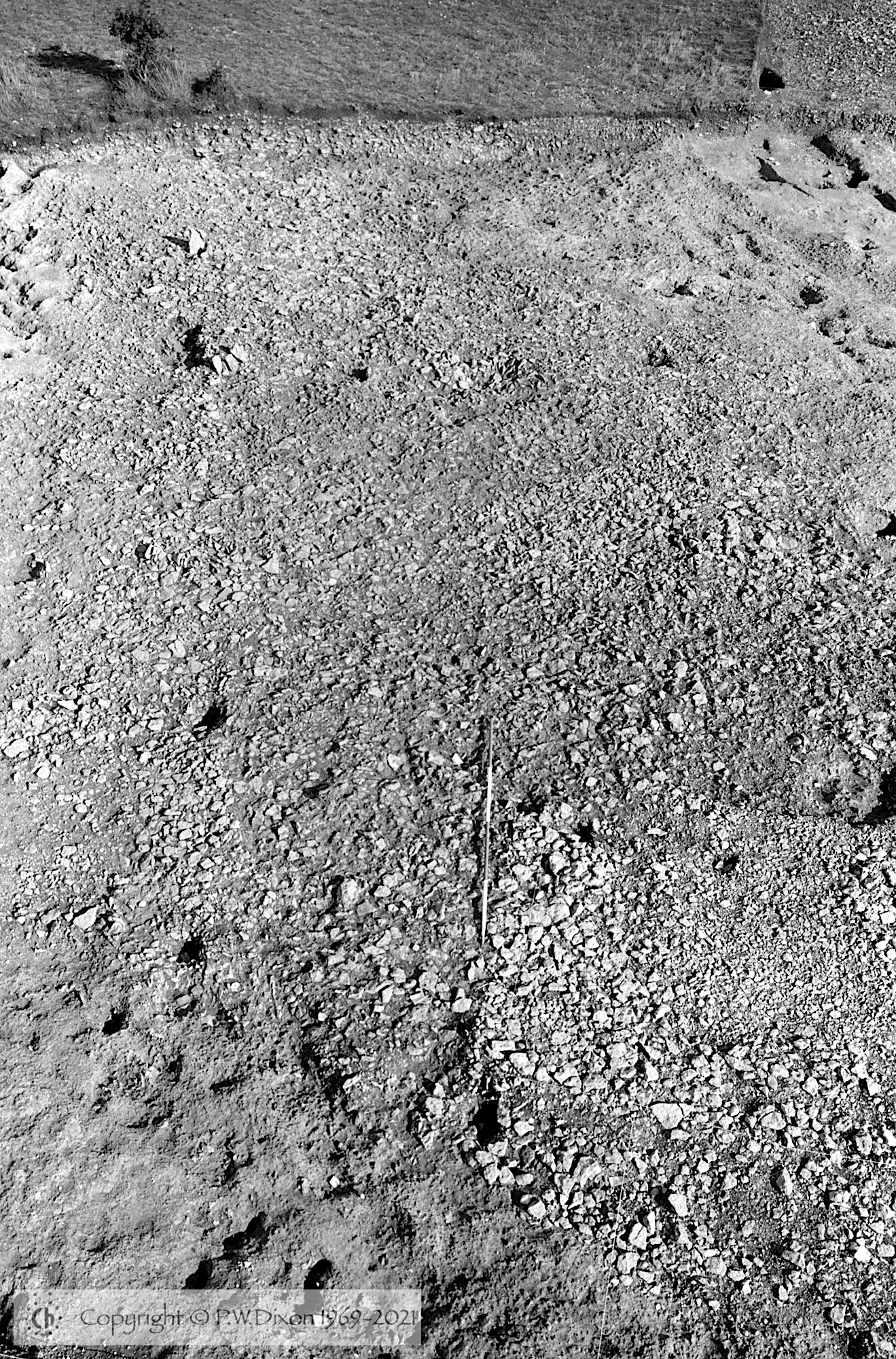 B85217
