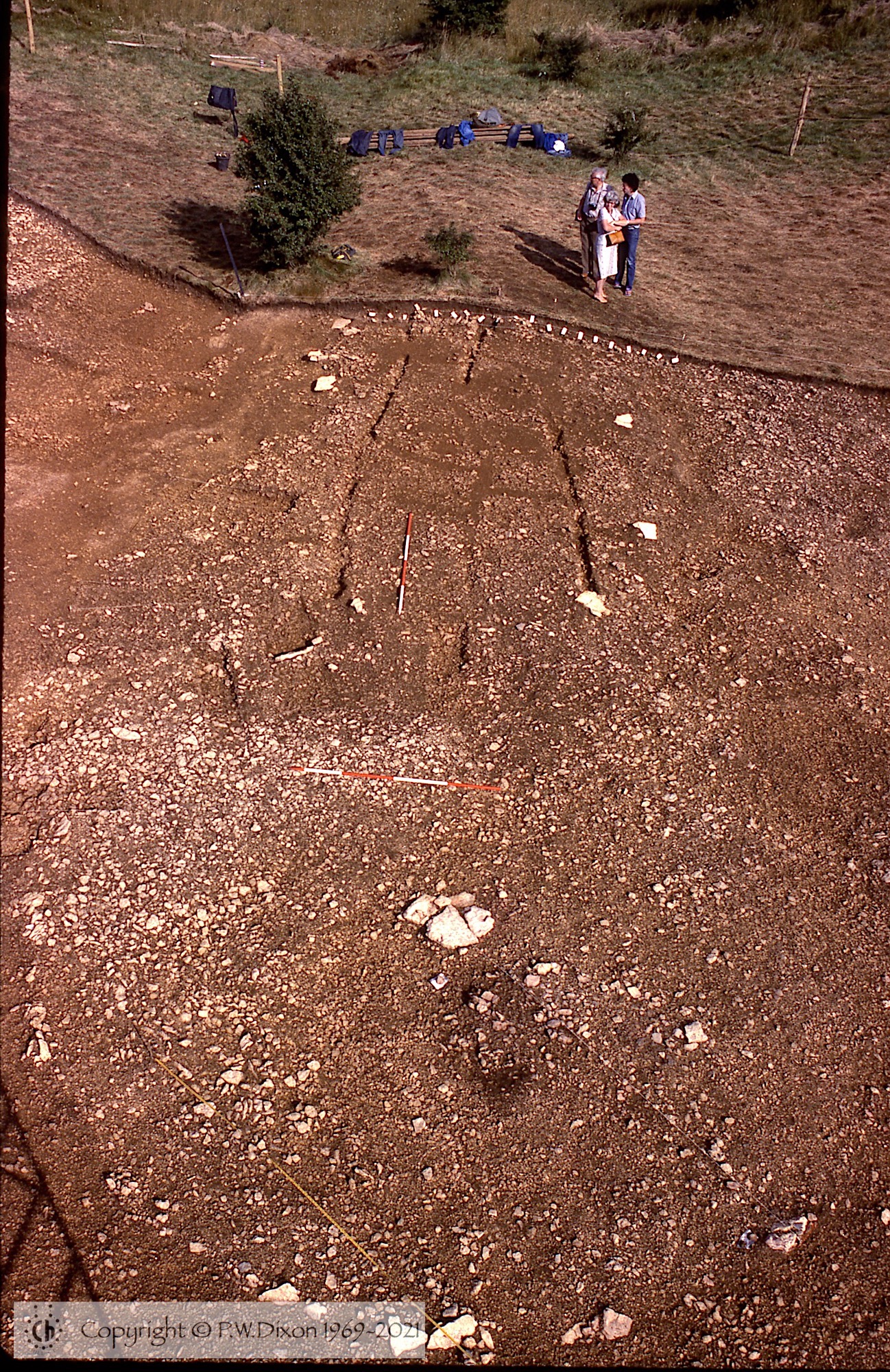 C83214