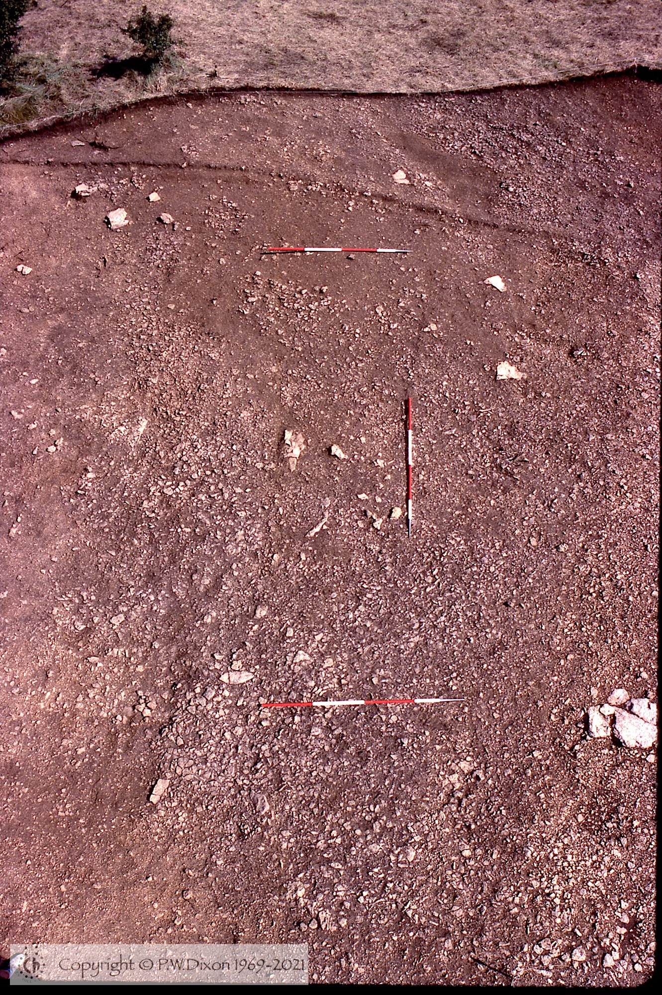 C83230