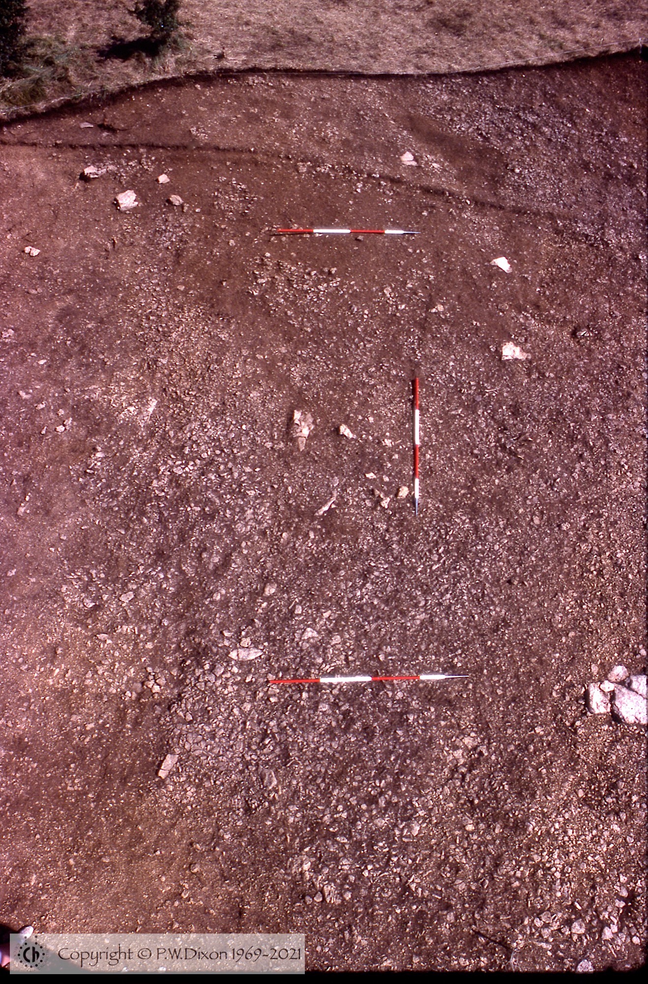 C83232