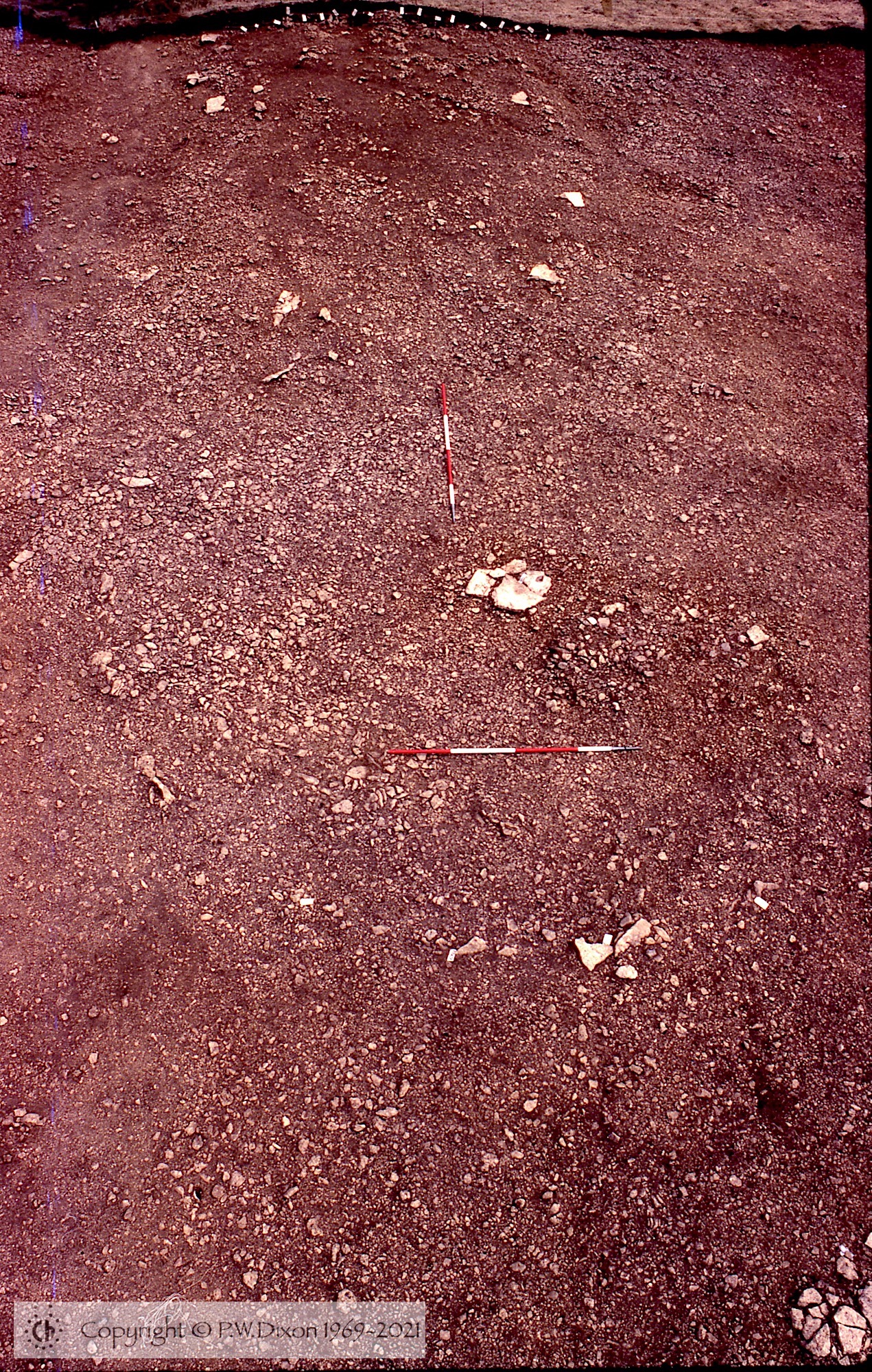 C83241