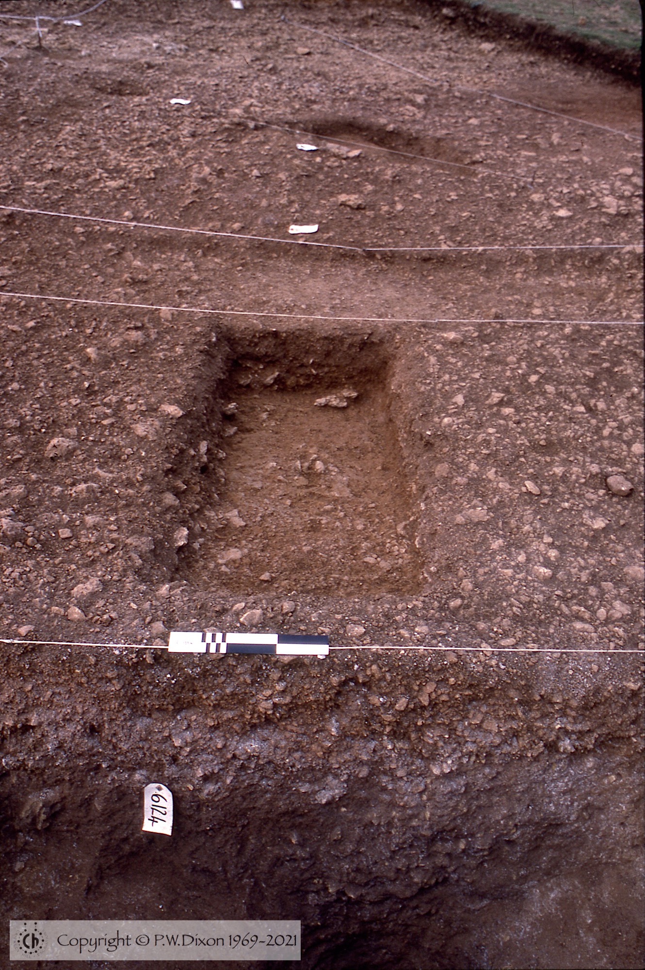 C84101