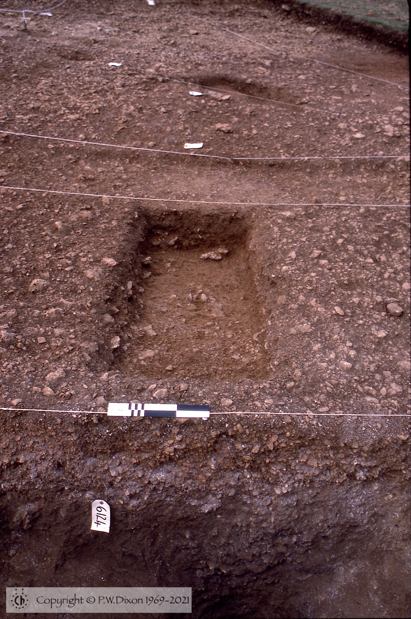 C84196