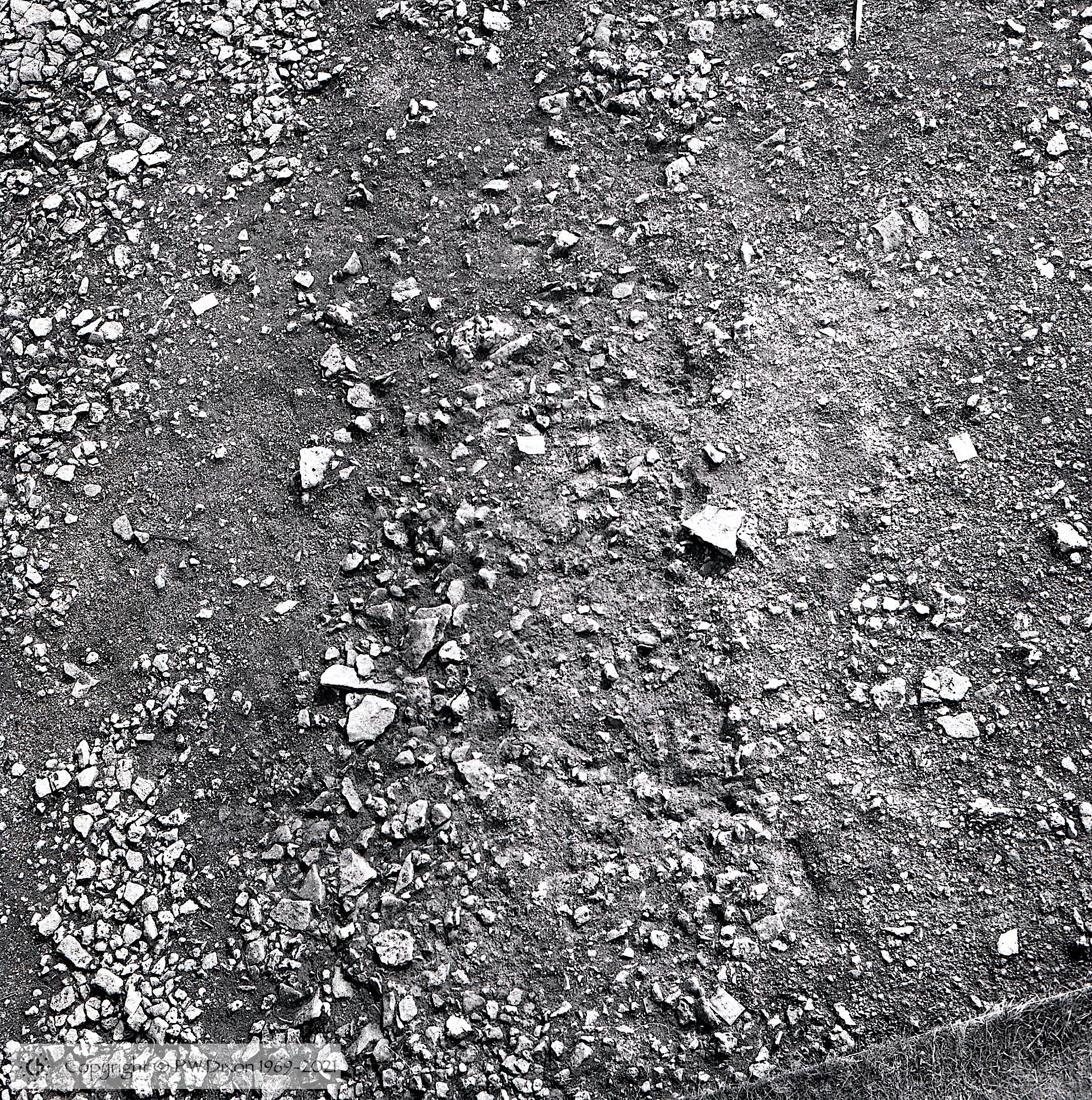 B92184