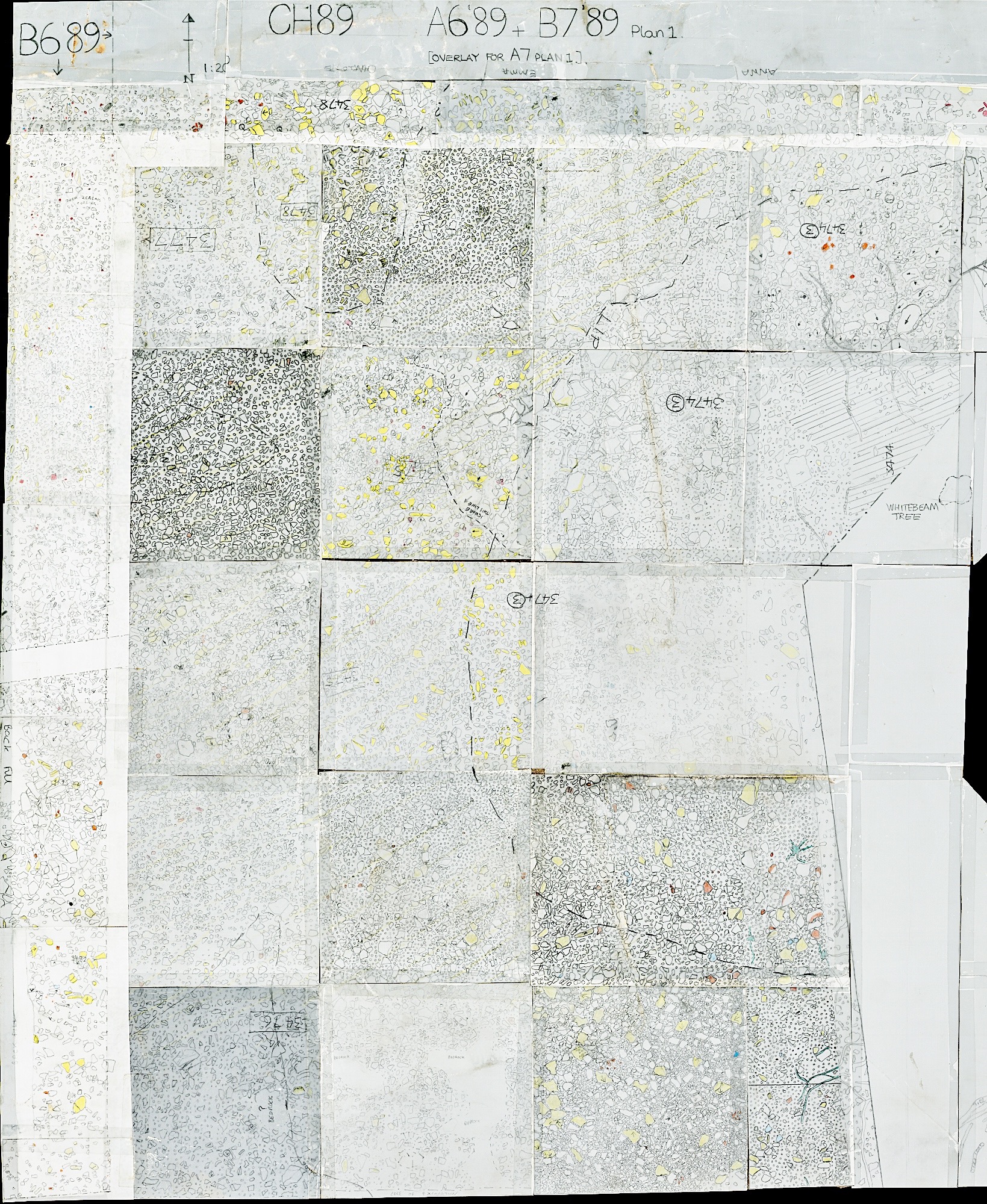 2. Plan 1 with parts of B6 and B7 (hand)