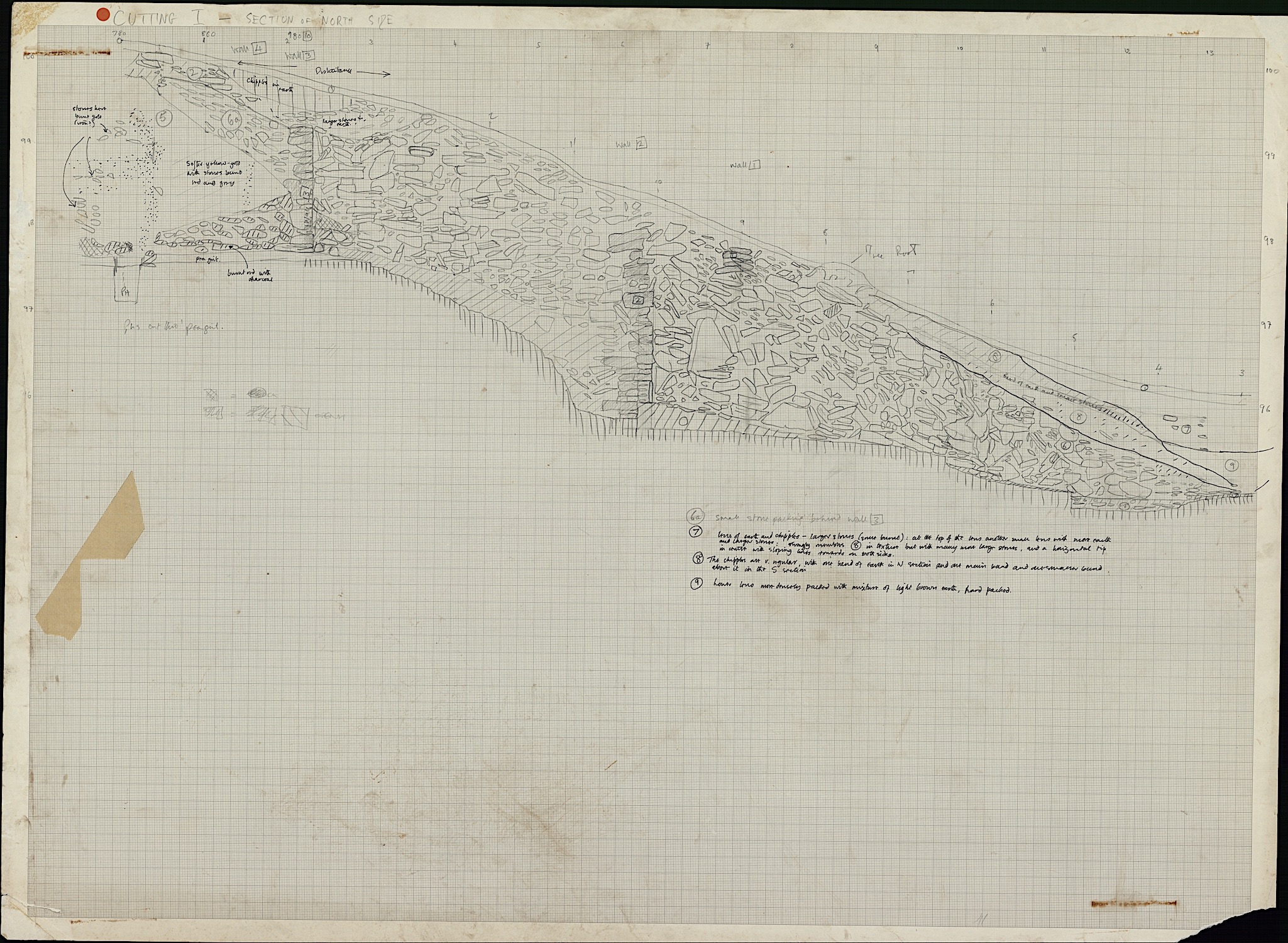 15. Sections (hand)