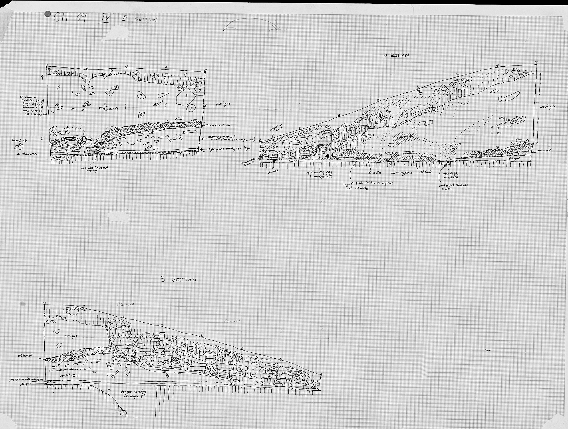 8. Sections (hand)