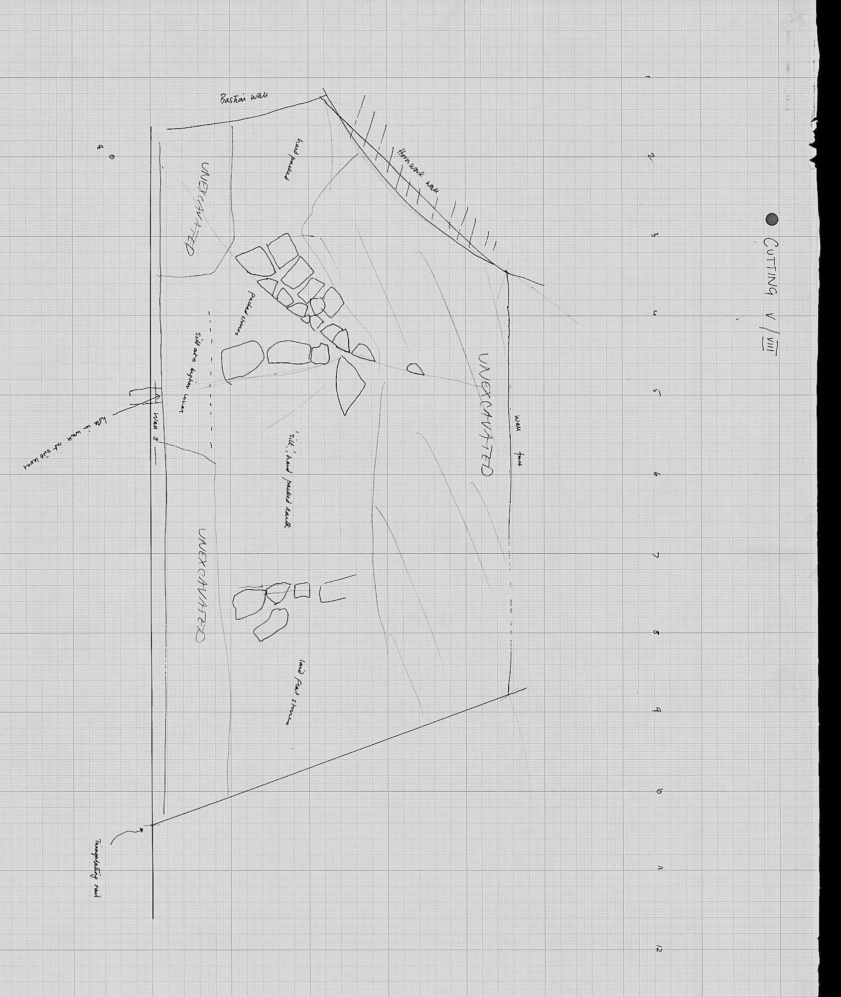 2. Plan 1 with AVIII (hand)