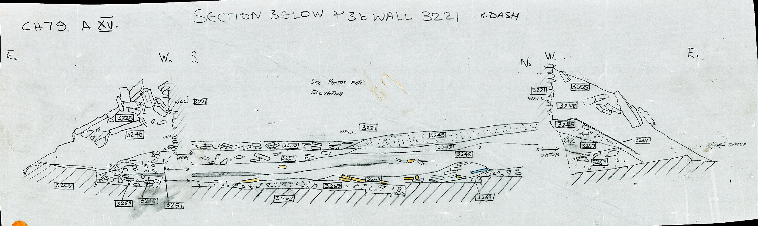 22. Section of F03221 (hand)